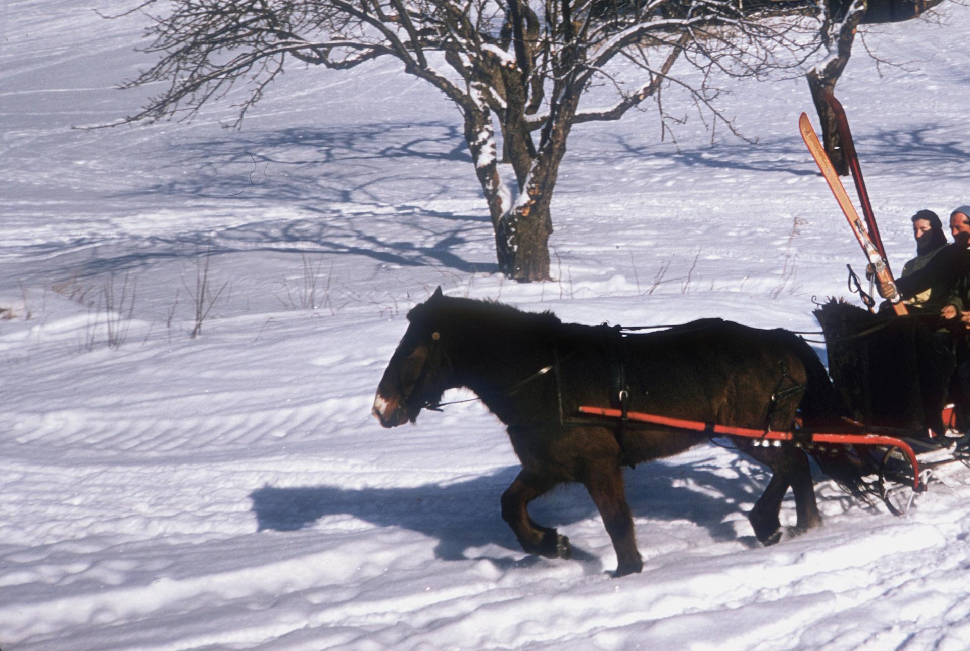 North Conway Sleigh, New Hampshire, Estate Edition, Winter Landscape Photograph For Sale 3