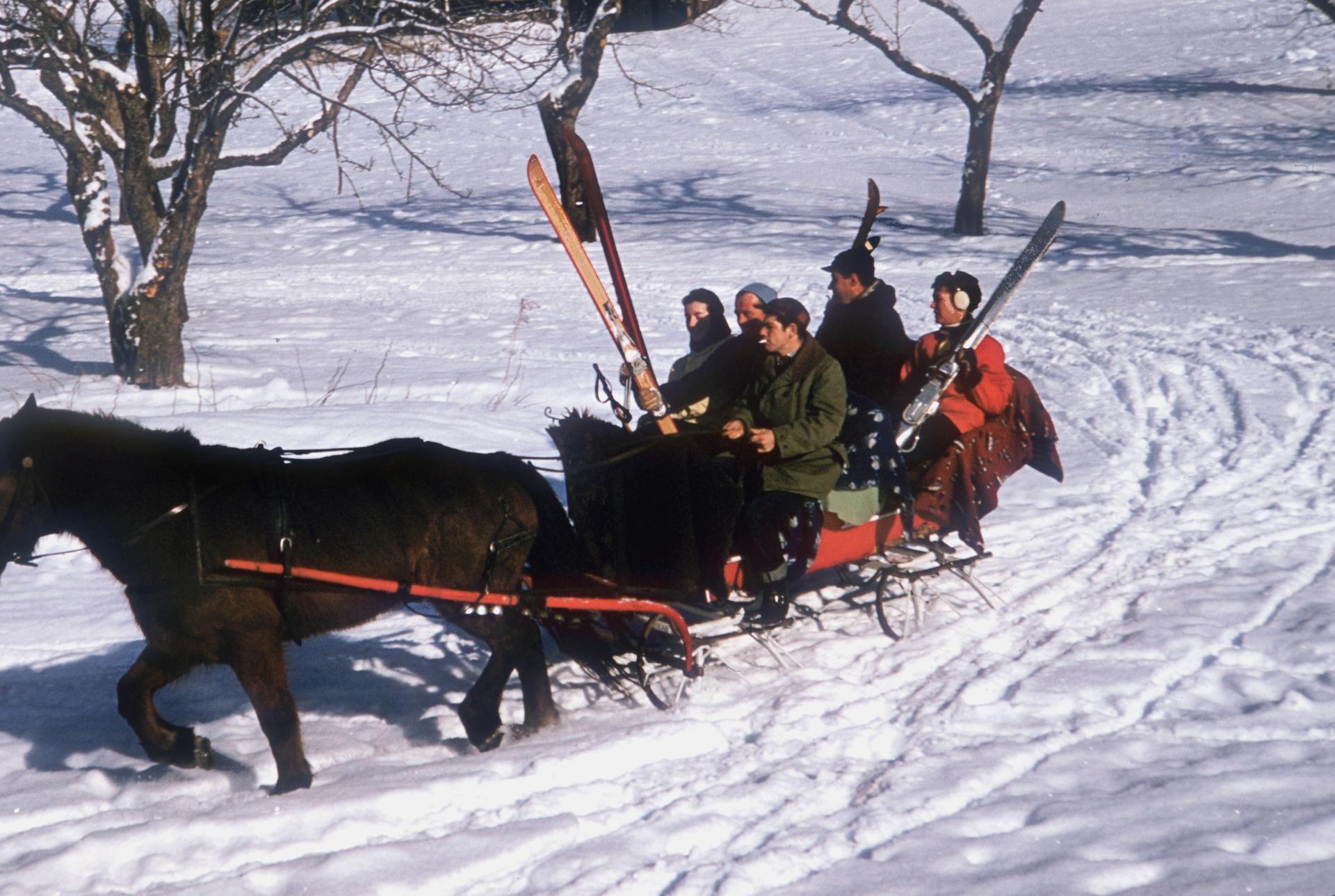 Trineo de North Conway, New Hampshire, Estate Edition, Fotografía de paisaje invernal

Esta fotografía de un paisaje invernal de mediados de la década de 1955, captada por el fotógrafo de sociedad Slim Aarons, muestra un trineo abierto que lleva a