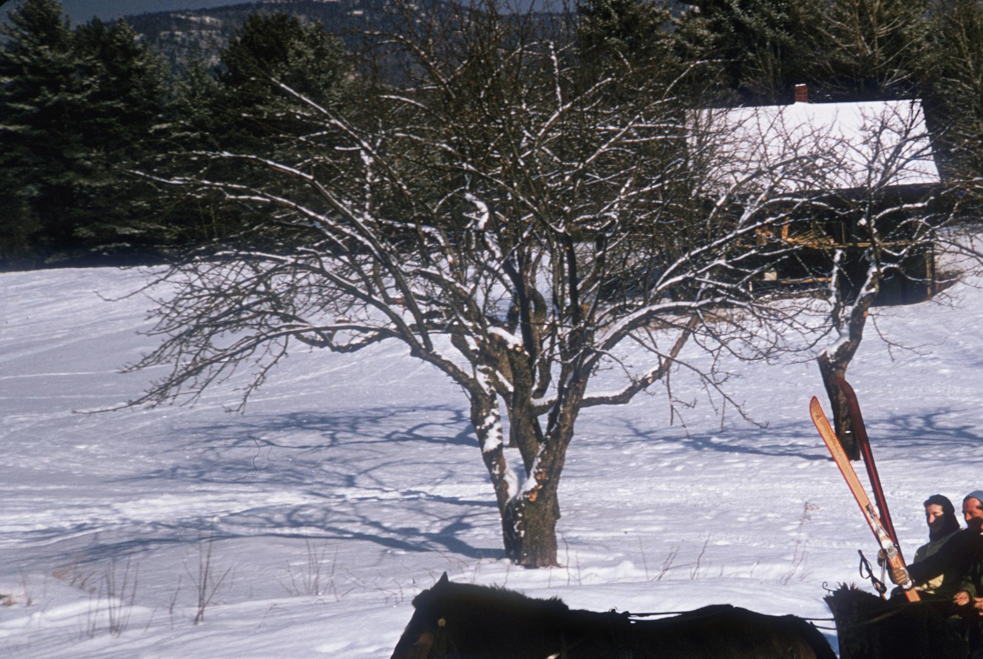 Trineo de North Conway, New Hampshire, Estate Edition, Fotografía de paisaje invernal en venta 1