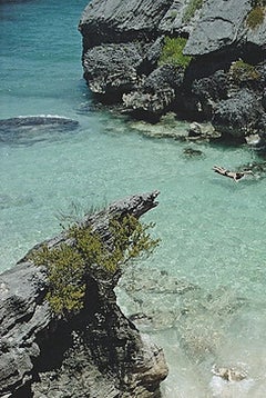 Holidaymakers in Bermuda - Natural Sandy Cove on Beach in Bermuda Island