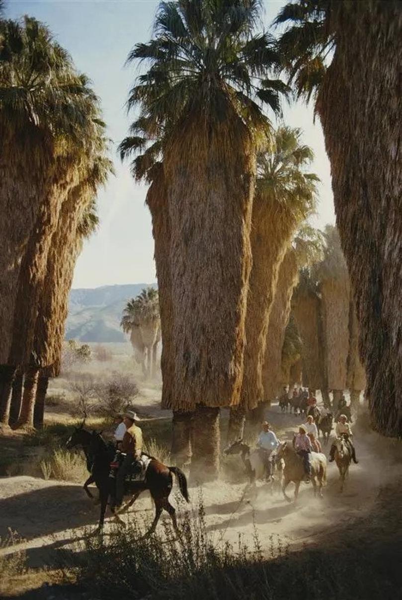 Palm Spring Riders 
1970
by Slim Aarons

Slim Aarons Limited Estate Edition

A group of riders among Washingtonia palms in Andreas Canyon, Palm Springs, southern California, January 1970.

unframed
c type print
printed 2023
20 × 16 inches - paper