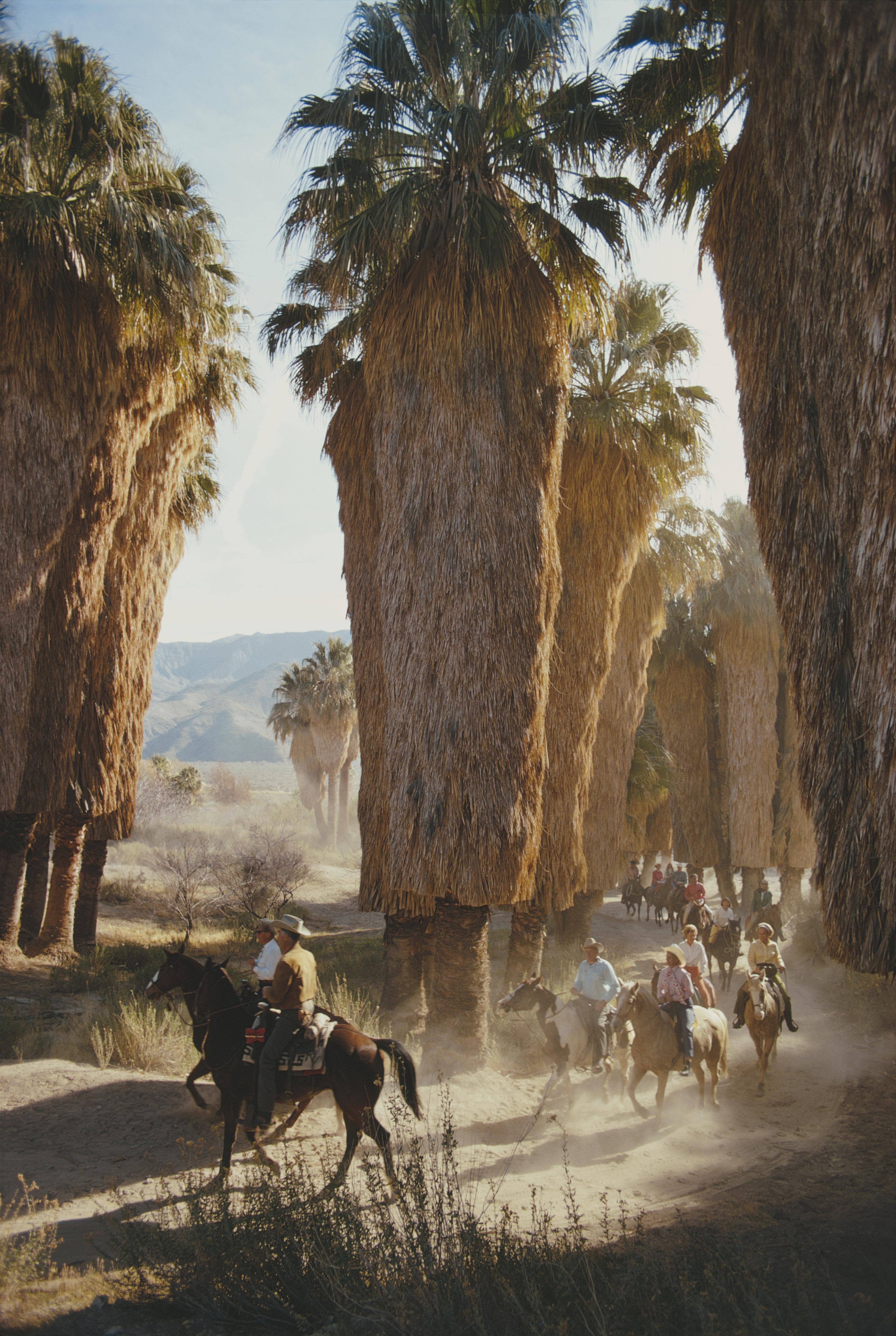 palm Springs Riders' 1970 Slim Aarons Limited Estate Edition Druck 

Eine Gruppe von Reitern zwischen Washingtonia-Palmen im Andreas Canyon, Palm Springs, Südkalifornien, Januar 1970. (Foto: Slim Aarons/Hulton Archive/Getty Images)

Hergestellt aus