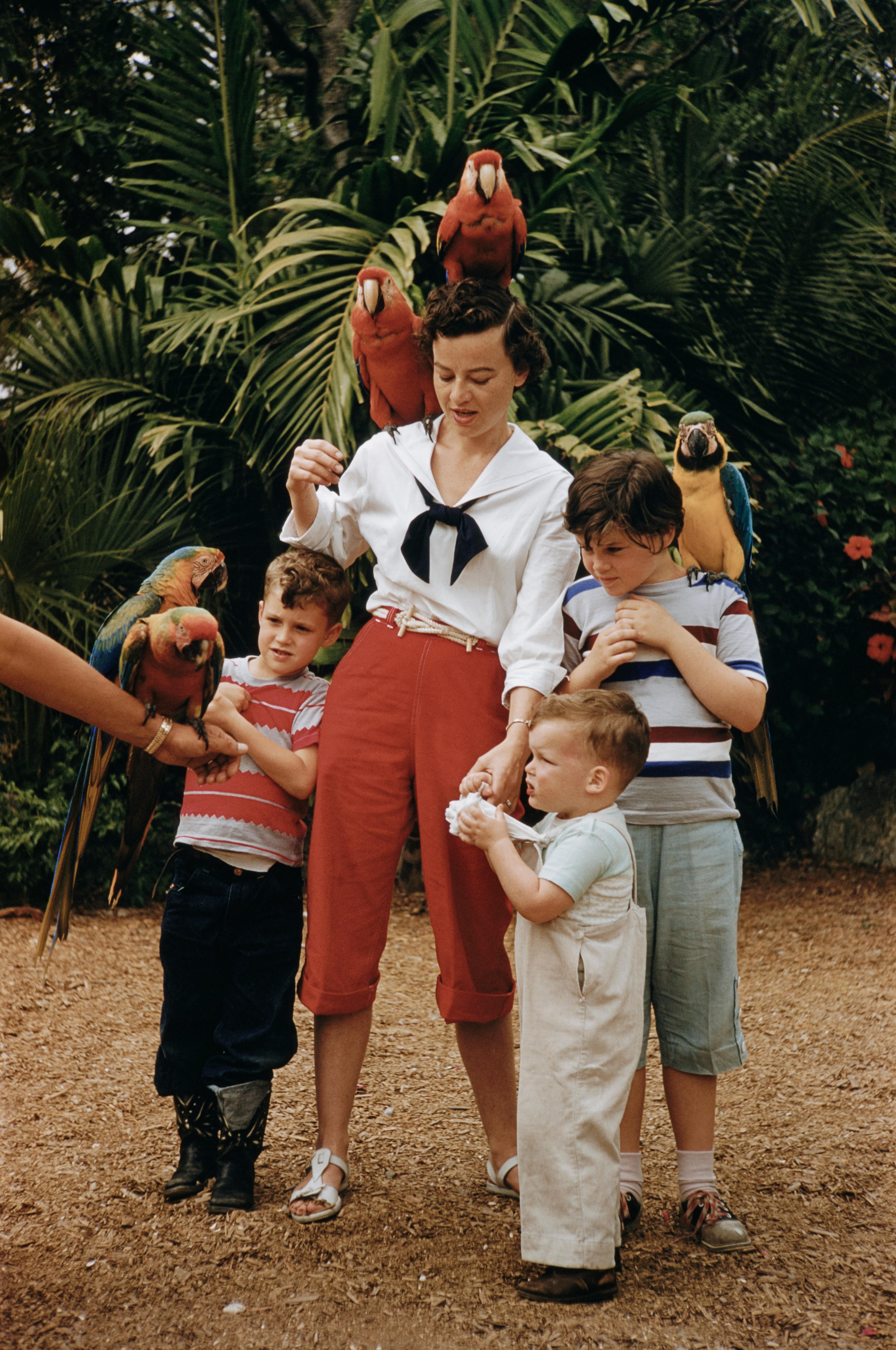 Slim Aarons Color Photograph - Parrot Jungle amusement park near Miami