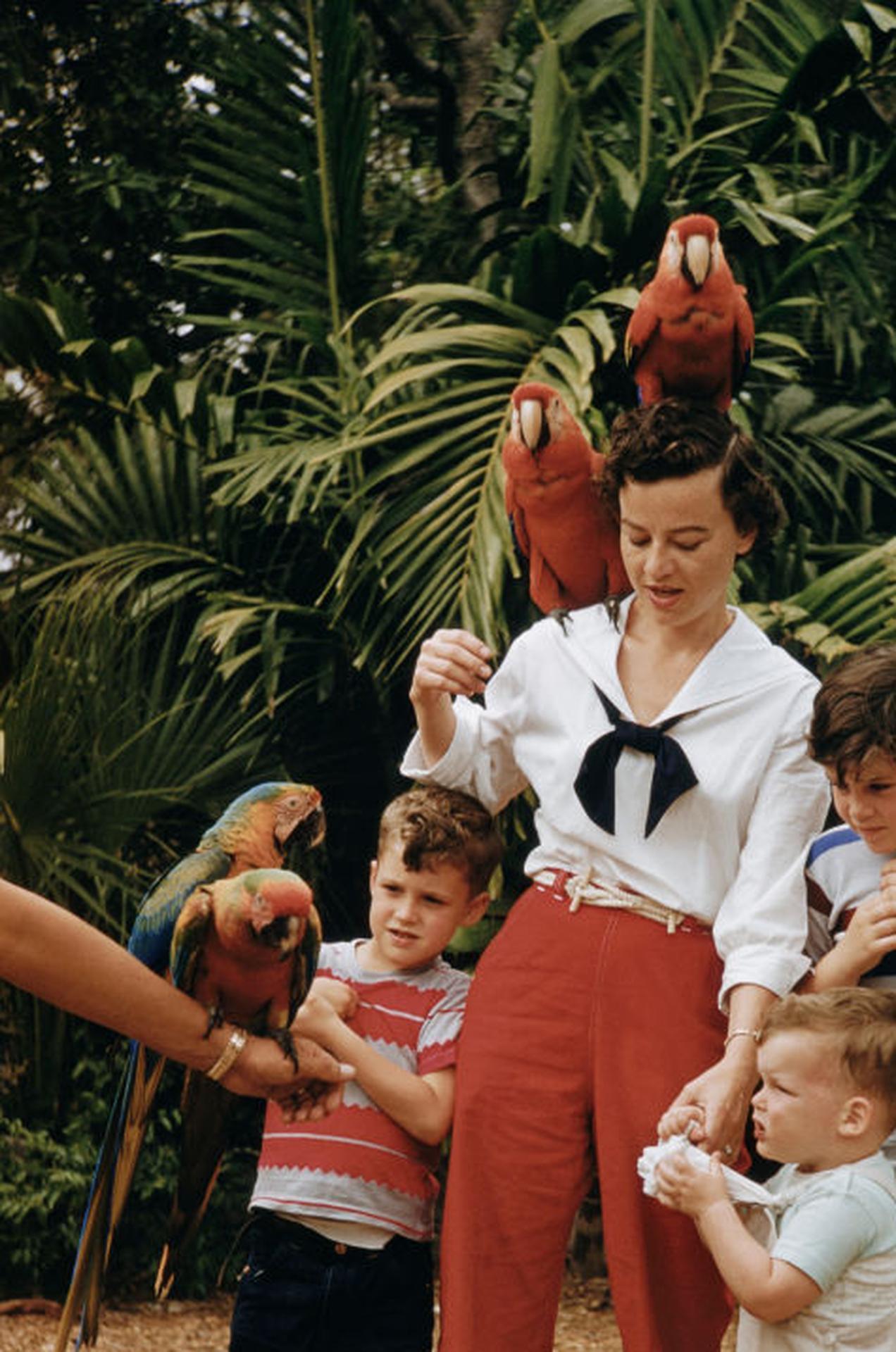 Parrot Dschungel, Miami, Nachlassausgabe, Porträtfotografie (Schwarz), Portrait Photograph, von Slim Aarons