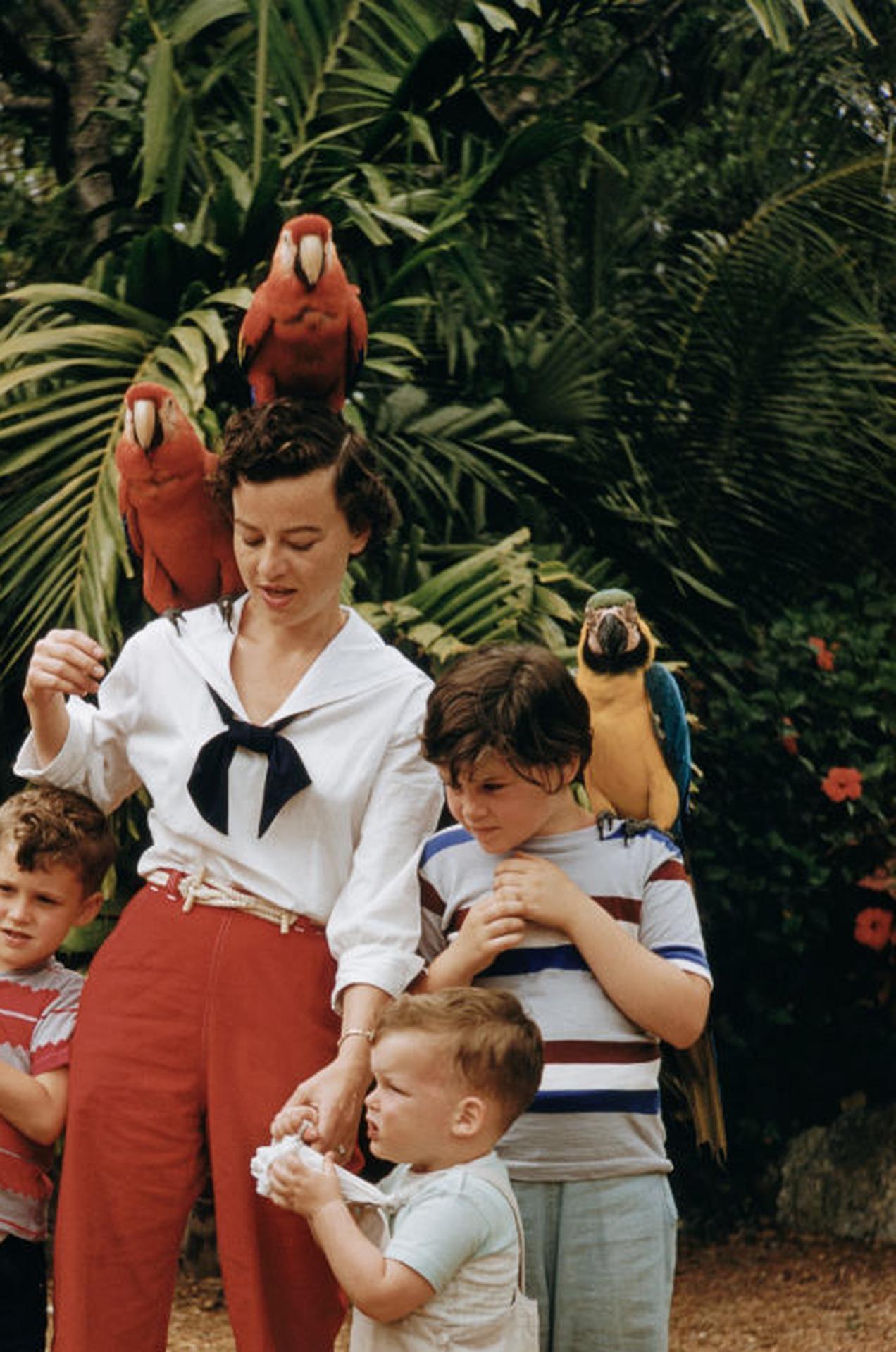 Dieses Porträtfoto aus dem Jahr 1955, aufgenommen vom Society-Fotografen Slim Aarons, zeigt einen  Familienausflug in den Vergnügungspark Parrot Jungle bei Miami.

Dies ist eine nachlassgestempelte und handnummerierte Auflage von 150 Stück mit