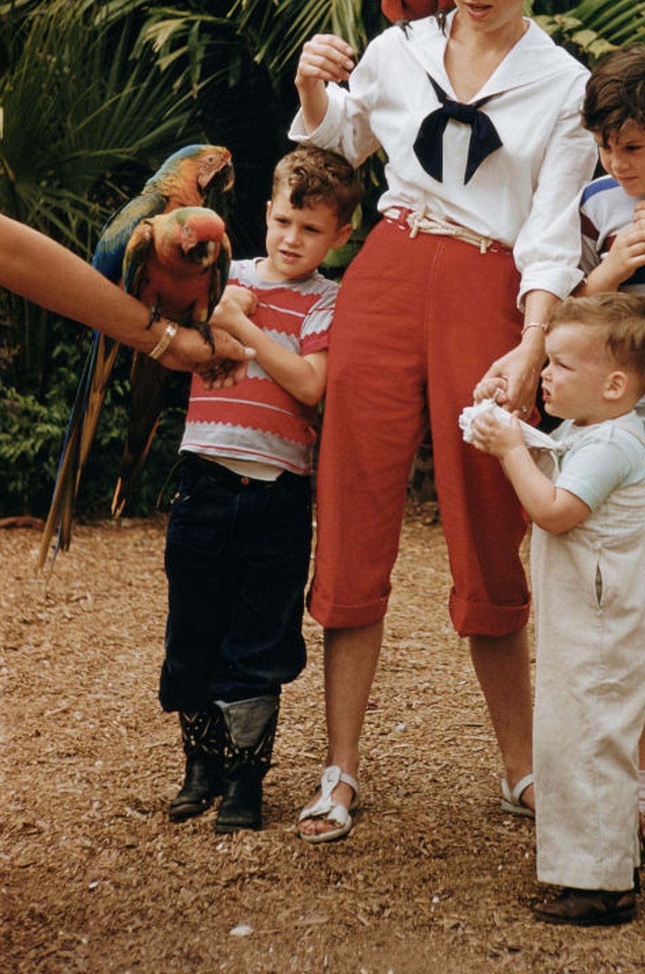 Parrot Jungle, Miami, Estate Edition, Portrait Photograph For Sale 4