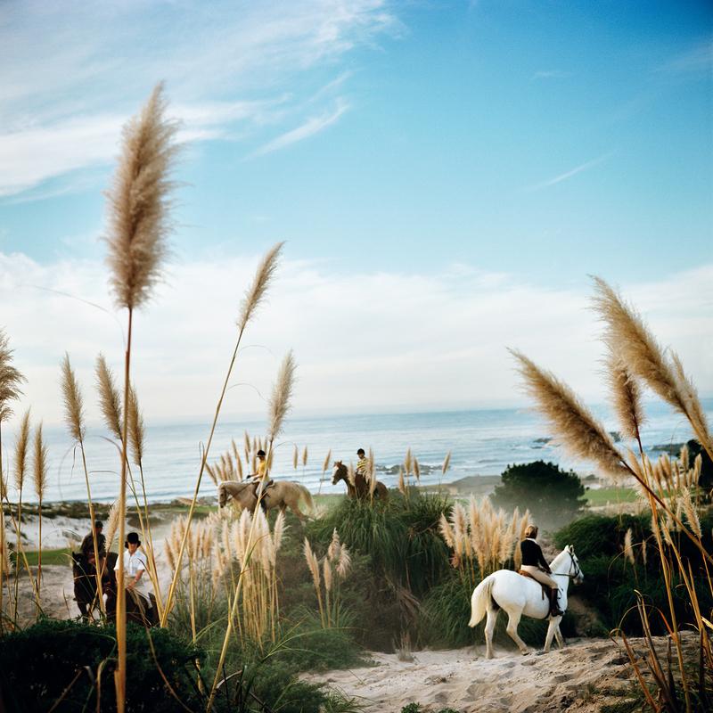 Pebble Beach 

I cavalieri del Pebble Beach Equestrian Center si fanno strada tra le dune di sabbia e l'erba della pampa californiana, novembre 1976.

Splendida stampa di dimensioni extra large 40 x 40" pollici / circa 101 x 101 cm.
 
Collection'S
