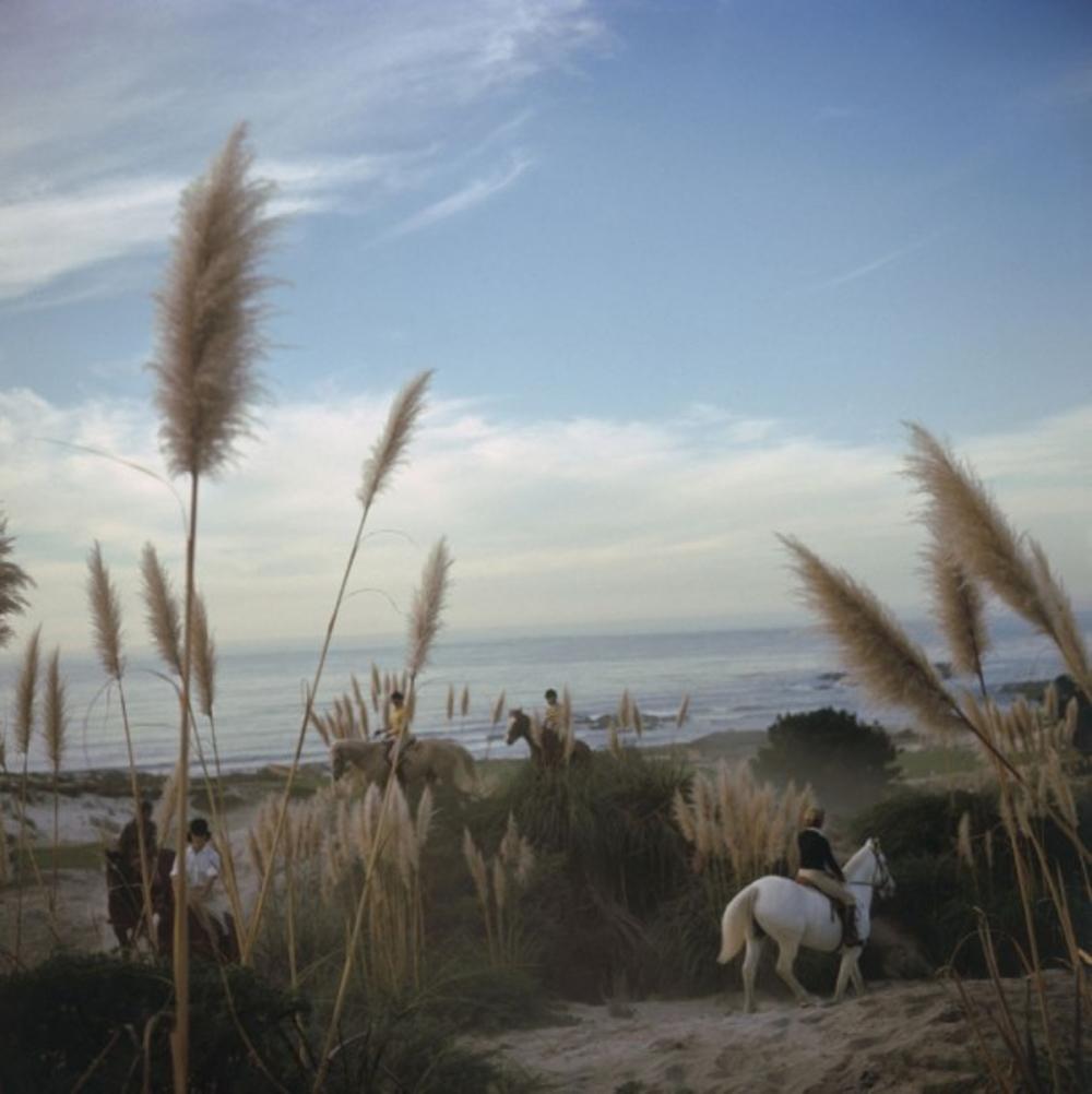 Pebble Beach 
1976
by Slim Aarons

Slim Aarons Limited Estate Edition

Riders from the Pebble Beach Equestrian Center wend their way through the Californian sand dunes and pampas grass, November 1976.

unframed
c type
printed 2023

Limited to 150