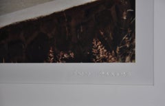 Peter Sellers and Britt Ekland