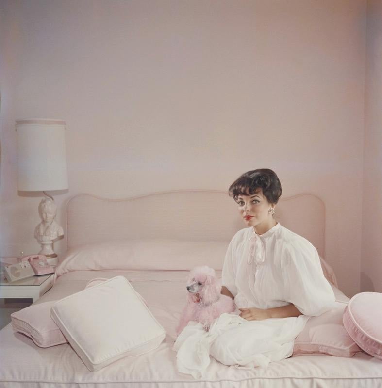 Slim Aarons Portrait Photograph - Pink Accessory (1955) Limited Estate Stamped - Giant 