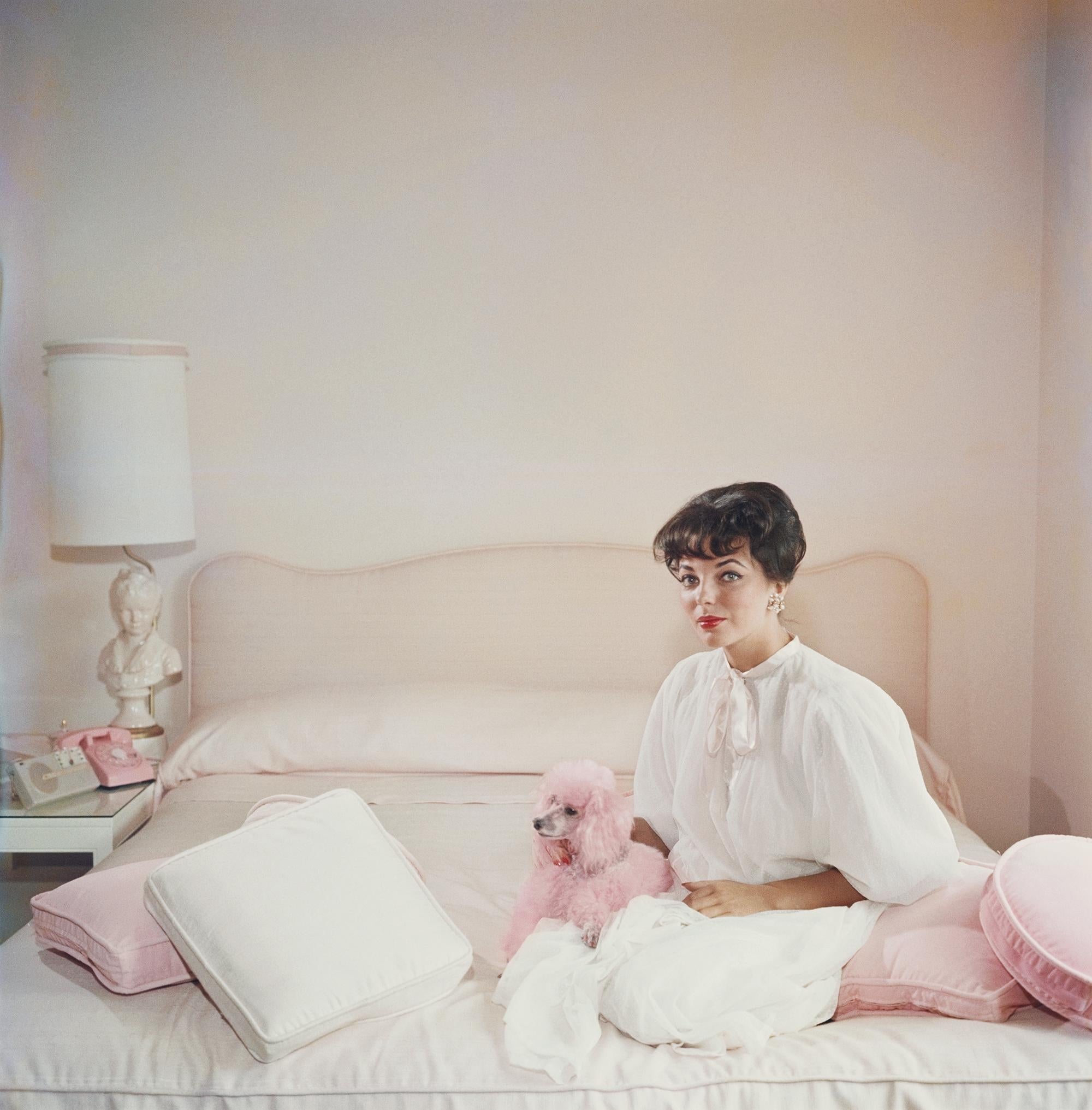 circa 1955: La estrella de cine Joan Collins en un dormitorio rosa y blanco con un caniche rosa como accesorio.

Slim Aarons
Accesorio Rosa, Edición Estate
Impresión cromogénica Lambda
1955, Impreso posteriormente
Slim Aarons Estate Edition
Envío