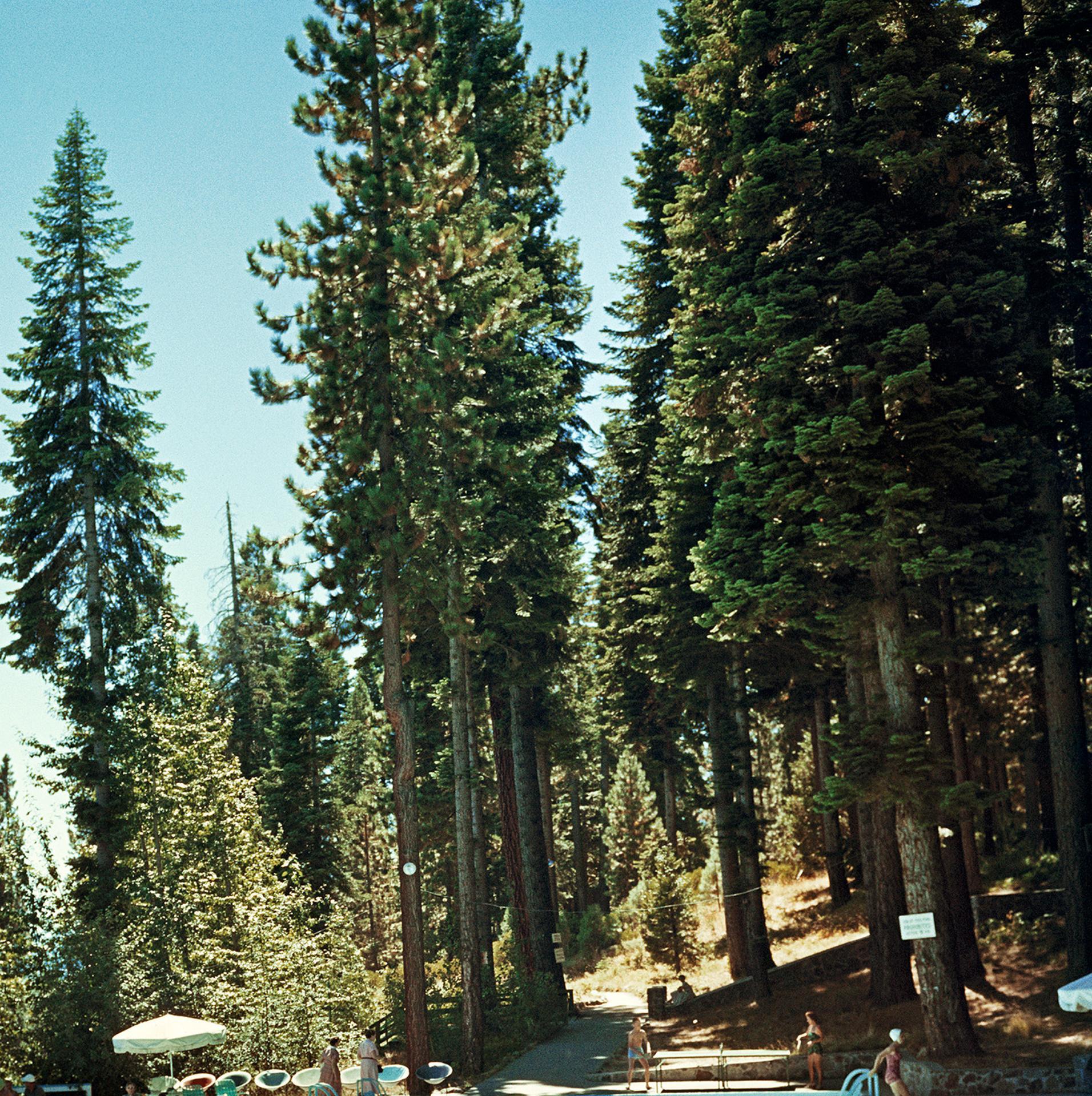 Piscina al lago Tahoe, Edizione Estate, Fotografia di paesaggio Montagne della Sierra Nevada in vendita 1