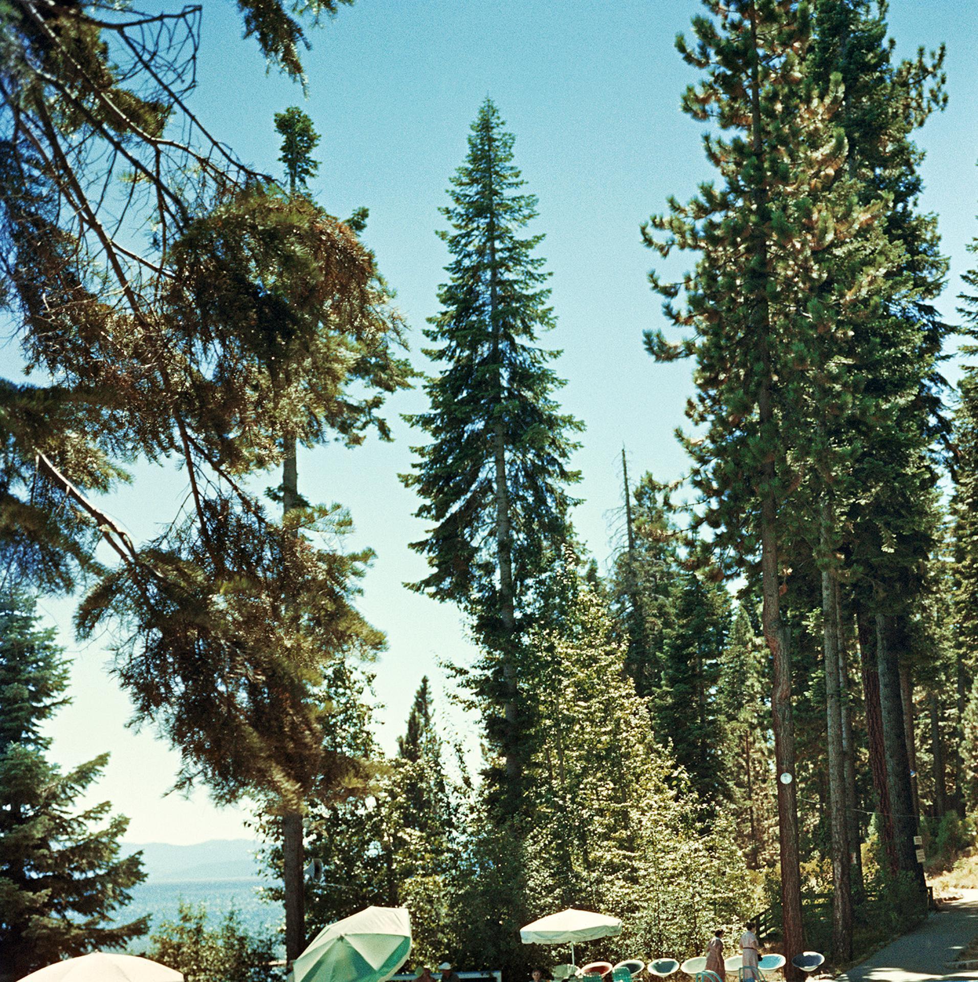 Piscina al lago Tahoe, Edizione Estate, Fotografia di paesaggio Montagne della Sierra Nevada in vendita 1