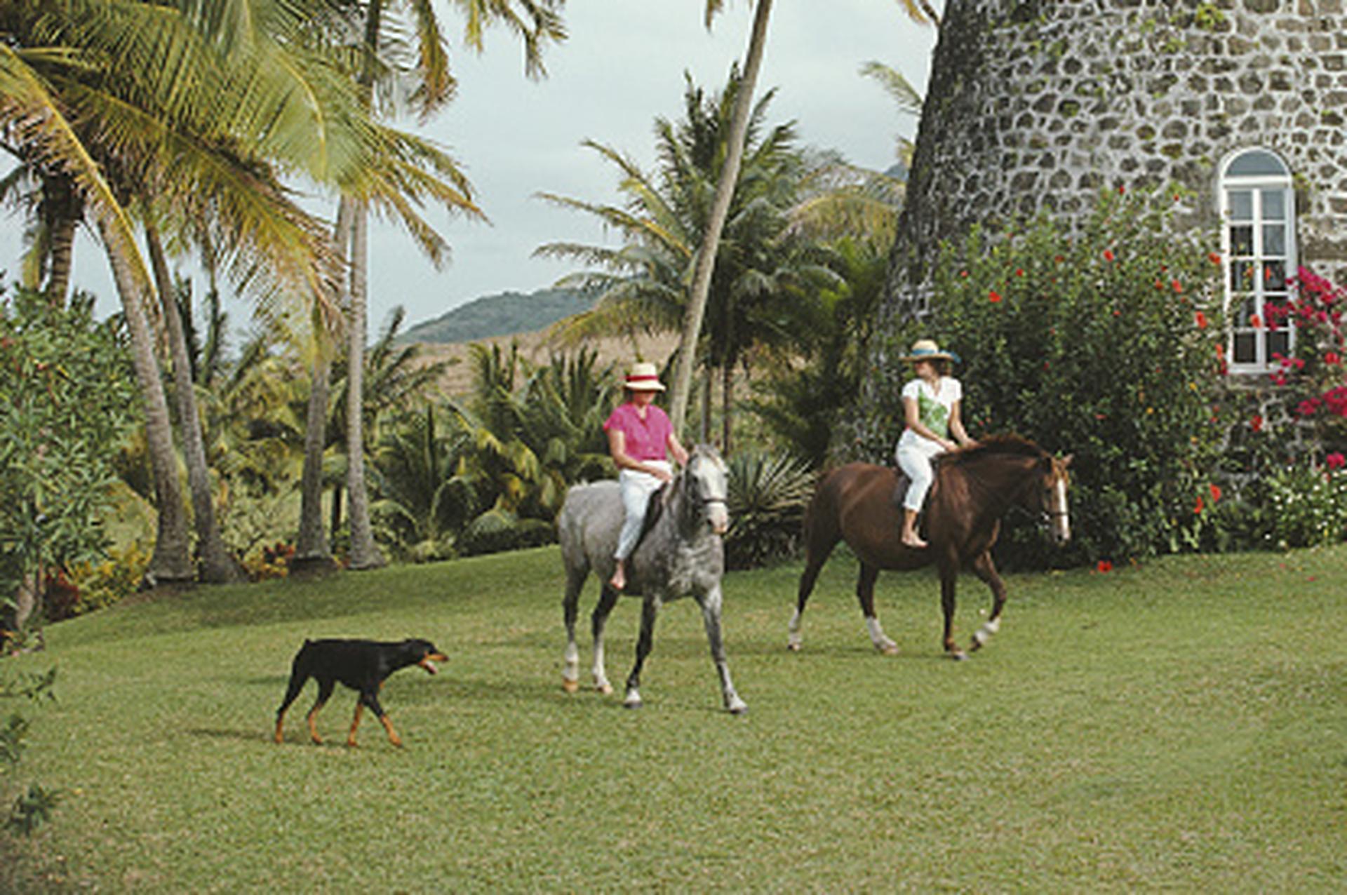 Saint-Christophe-et-Niévès, Antilles, édition patrimoniale, photographie de paysage en vente 2