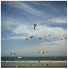 San Diego Gulls 1956 - Slim Aarons Estate Stamped