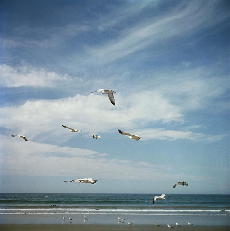« San Diego Gulls » de 1960, Slim Aarons, édition limitée