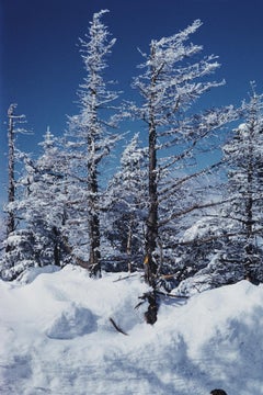 Esquiador en Vermont, EE.UU., Estate Edition, Fotografía moderna de mediados de siglo