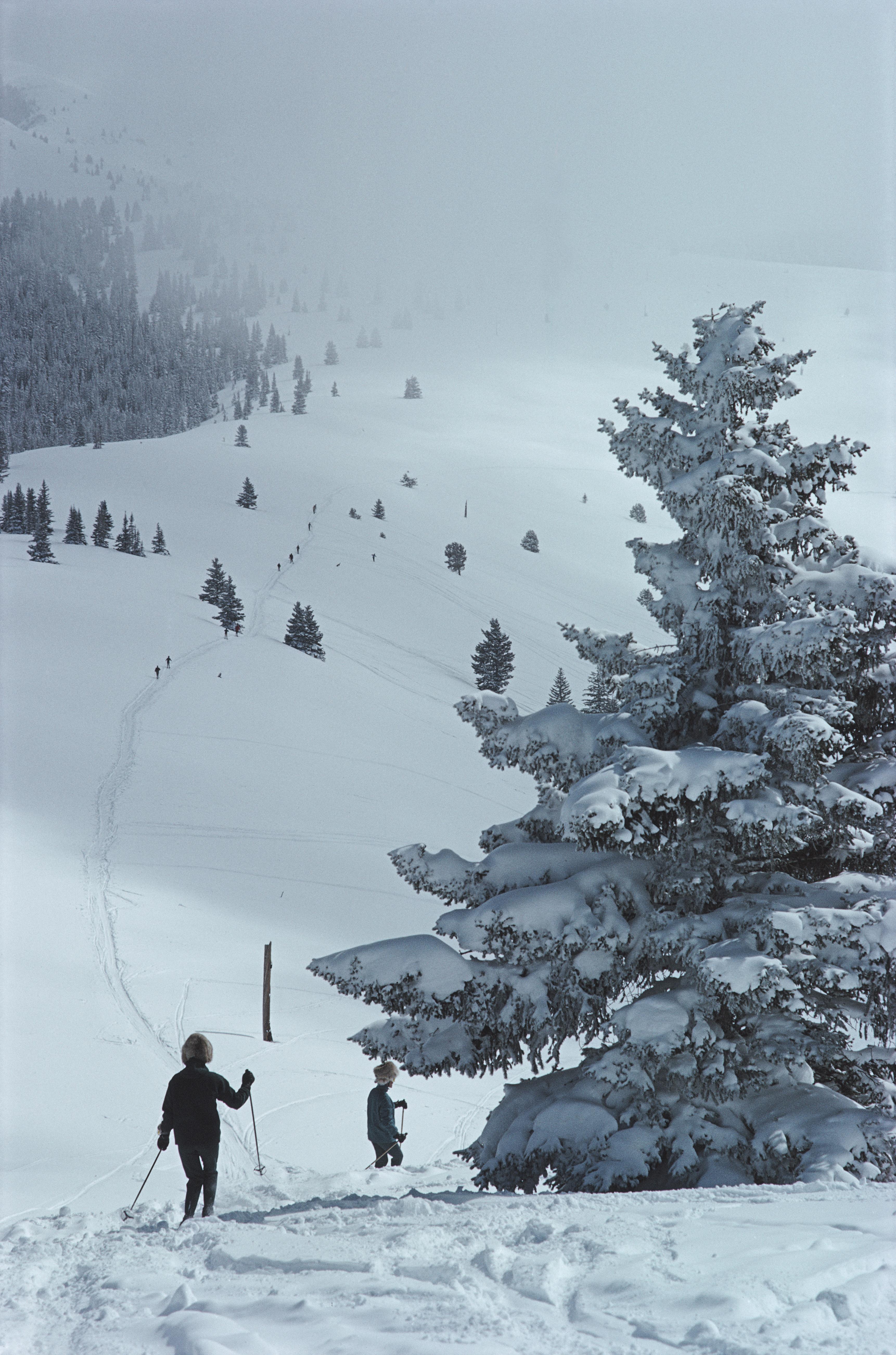 'Skiing In Vail' 1964 Slim Aarons Limited Estate Edition Print 

Skiers pass by a snow covered tree in Vail, Colorado, USA, 1964.

Produced from the original transparency
Certificate of authenticity supplied 
Archive stamped

Paper Size  24x20
