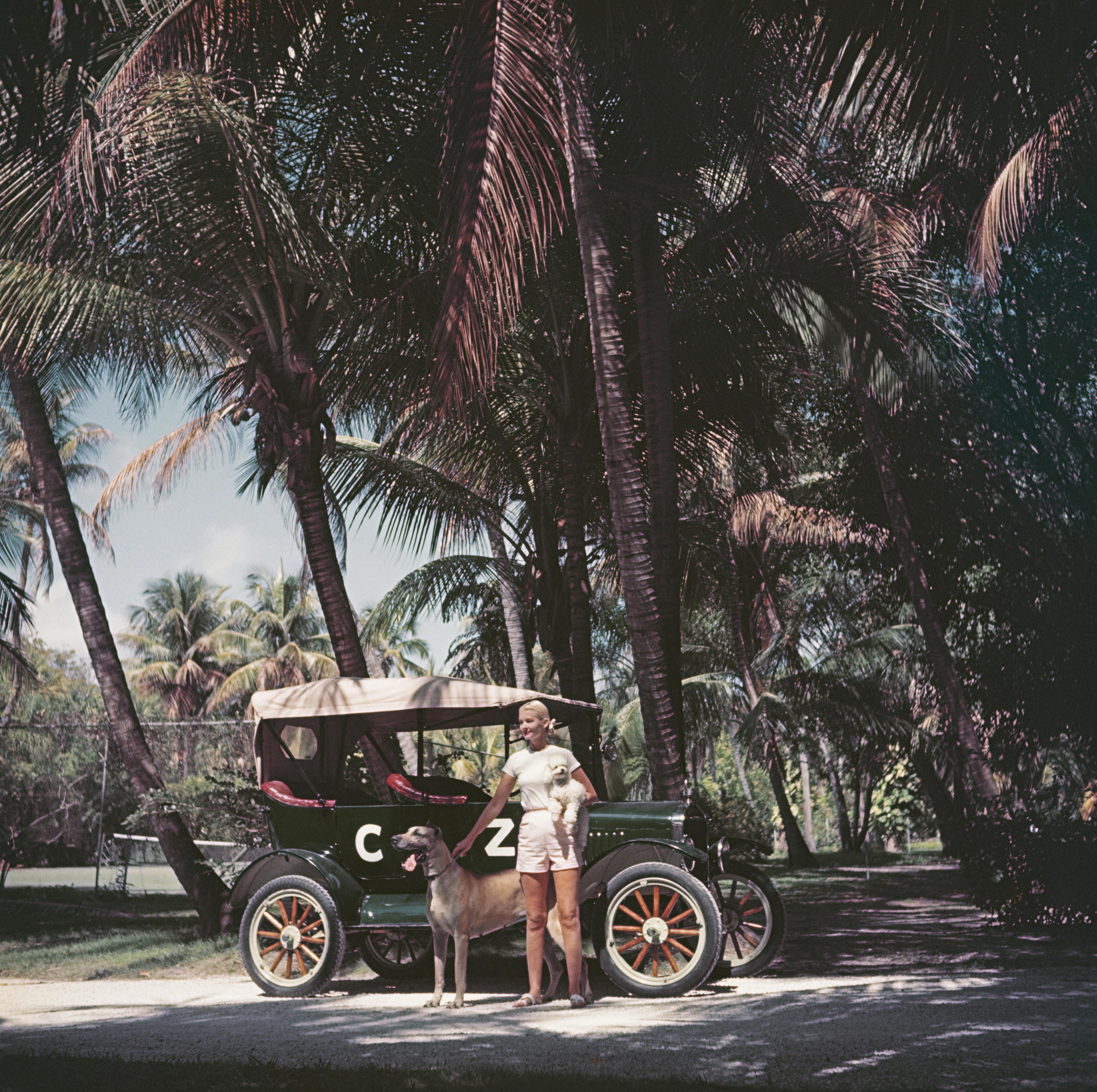 Amerikanische Bühnenschauspielerin, Autorin, Kolumnistin, Reiterin, Modedesignerin und Gesellschaftsdame C. Z. Guest (auch bekannt als Mrs. Winston F. C. Guest, 1920 - 2003) mit ihrem personalisierten Ford Model T Tourer, in Begleitung eines Pudels