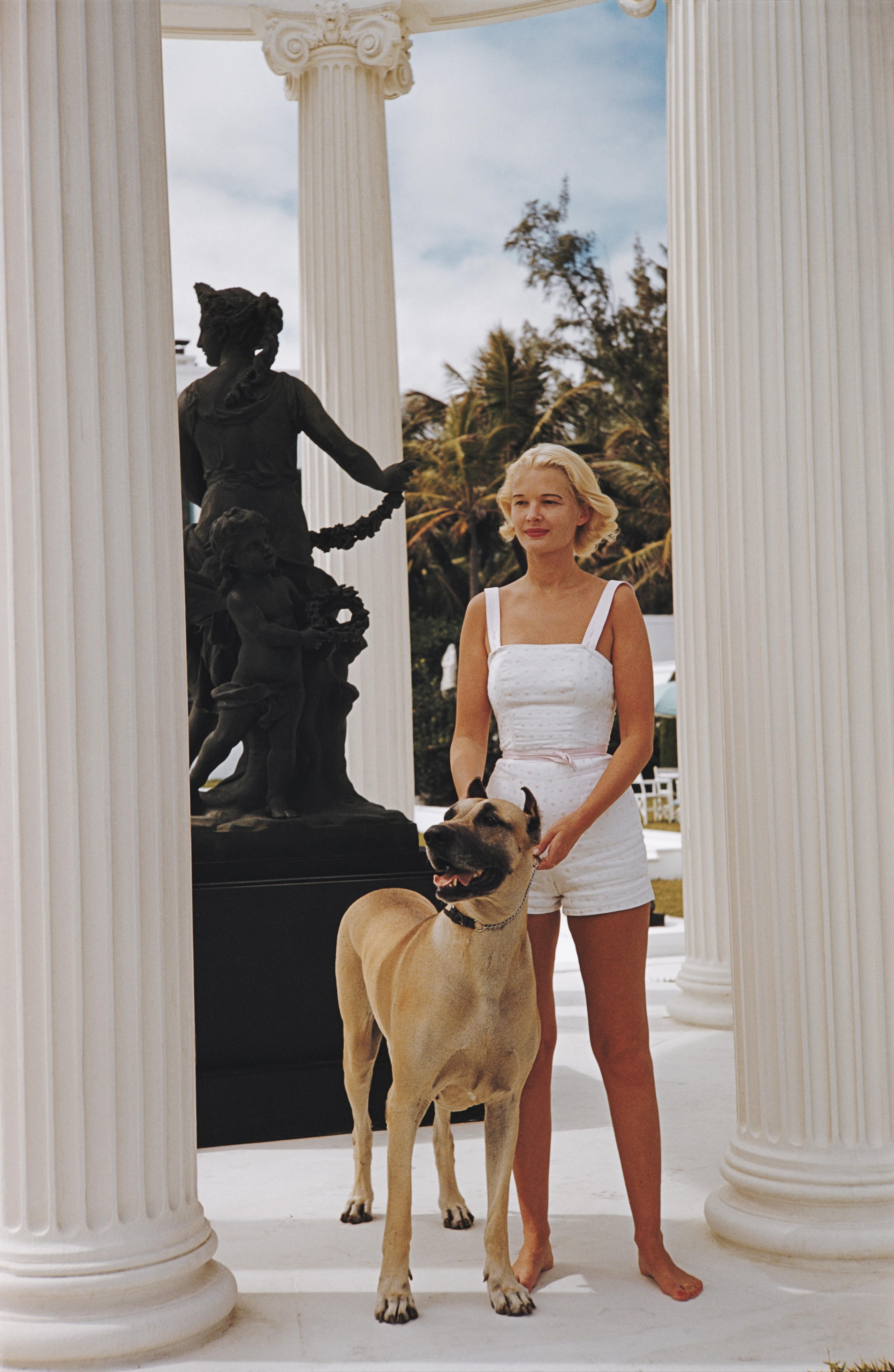 Slim Aarons Color Photograph - C.Z. Guest With Her Great Dane, Villa Artemis, Palm Beach (Estate Edition, #1)