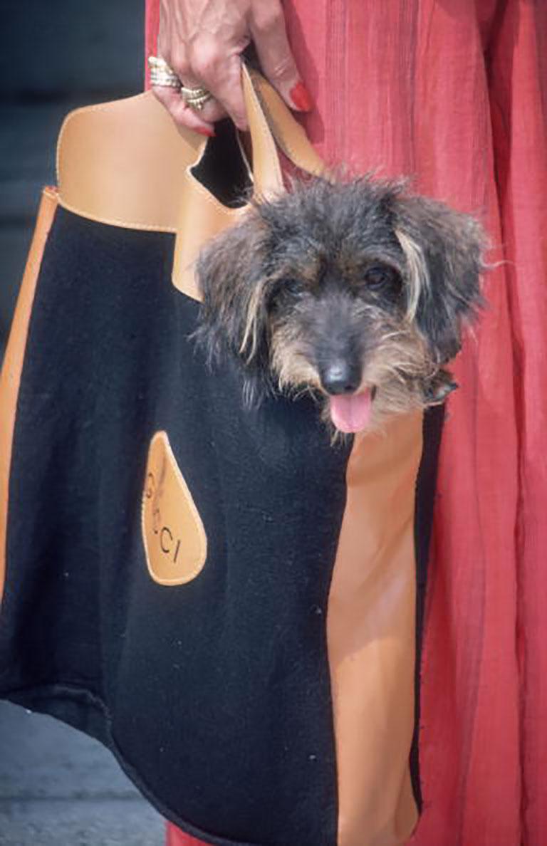 Gucci Pooch
1978
Chromogenic Lambda Print
Estate edition of 150
Estate stamped and hand numbered edition of 150 with certificate of authenticity from the estate. 

A woman carrying her dog in a Gucci bag, Venice, September, 1978. (Photo by Slim