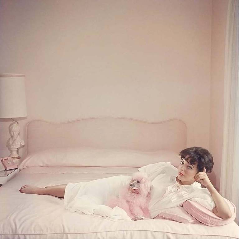 Slim Aarons „Joan Collins, Rosa Accessoire“ im Angebot 1