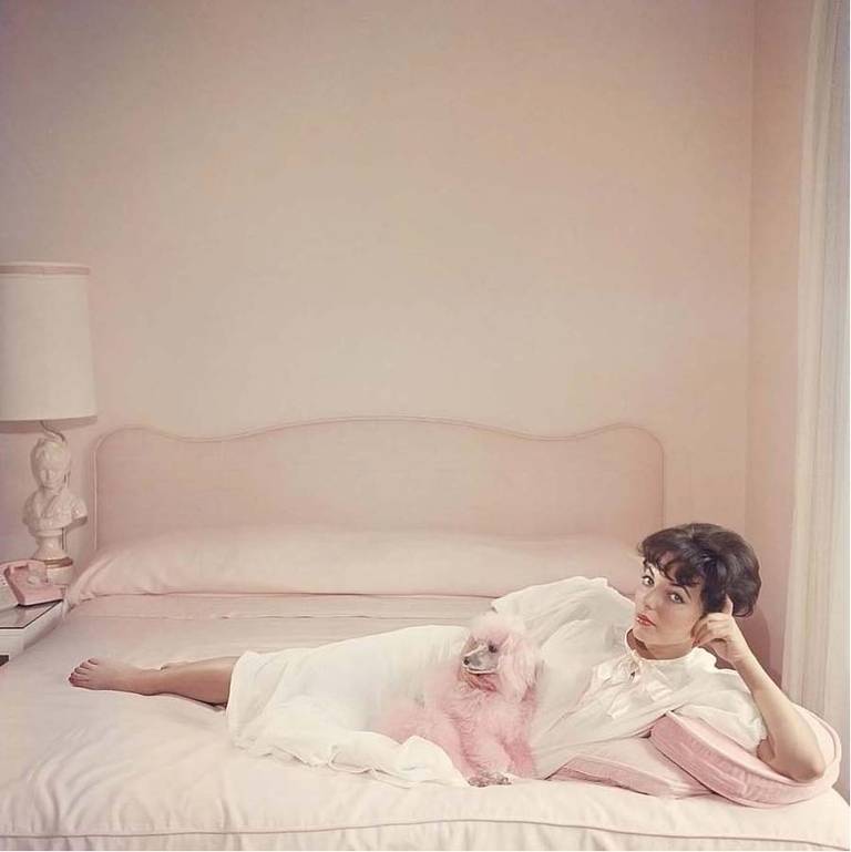 Film star Joan Collins relaxes with her pink poodle on her pink bed.

Estate stamped and hand numbered edition of 150 with certificate of authenticity from the estate.   

Slim Aarons (1916-2006) worked mainly for society publications photographing