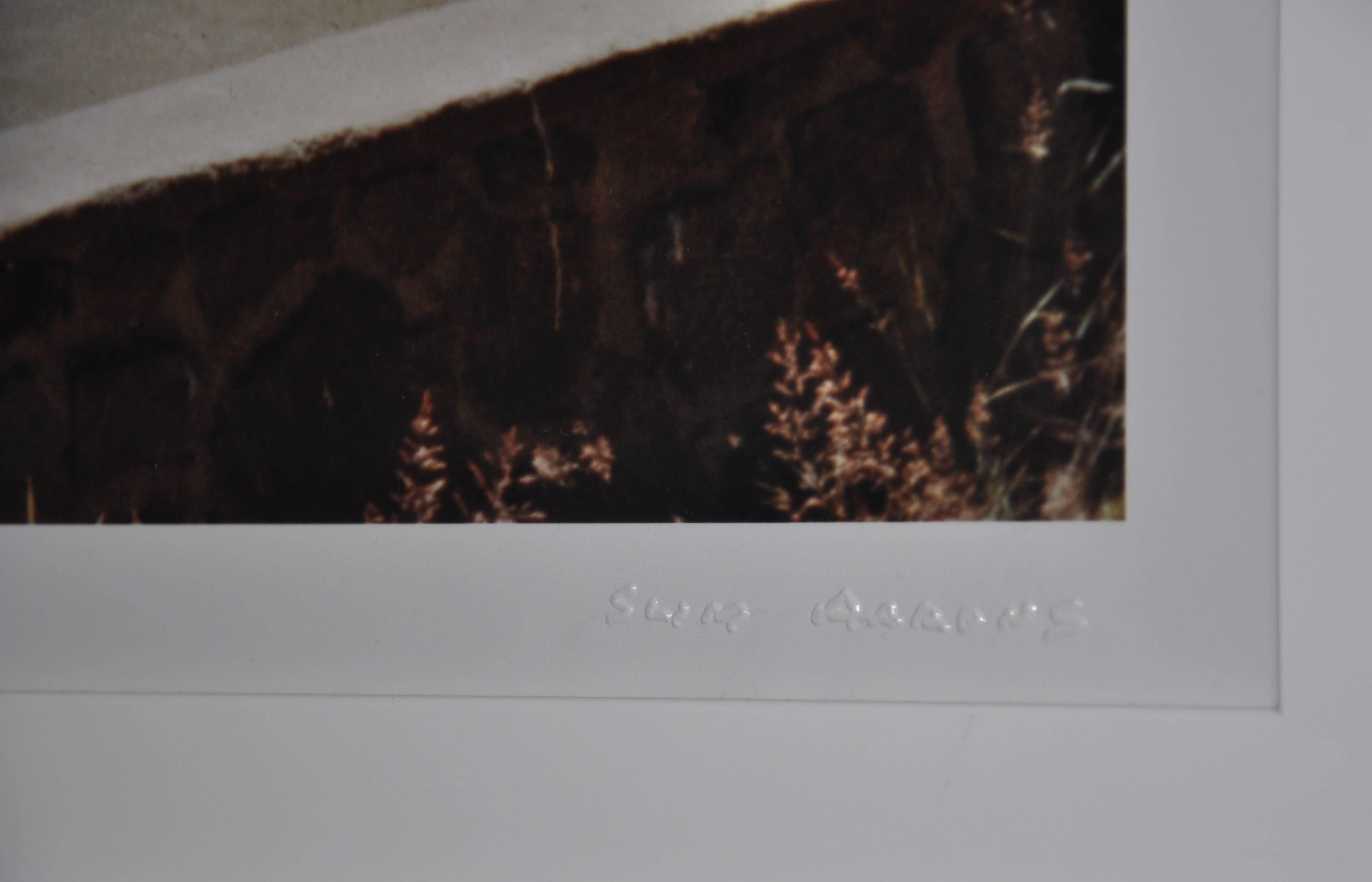 Slim Aarons 'On The Sugarbush Slopes' (Edición Slim Aarons Estate) en venta 3