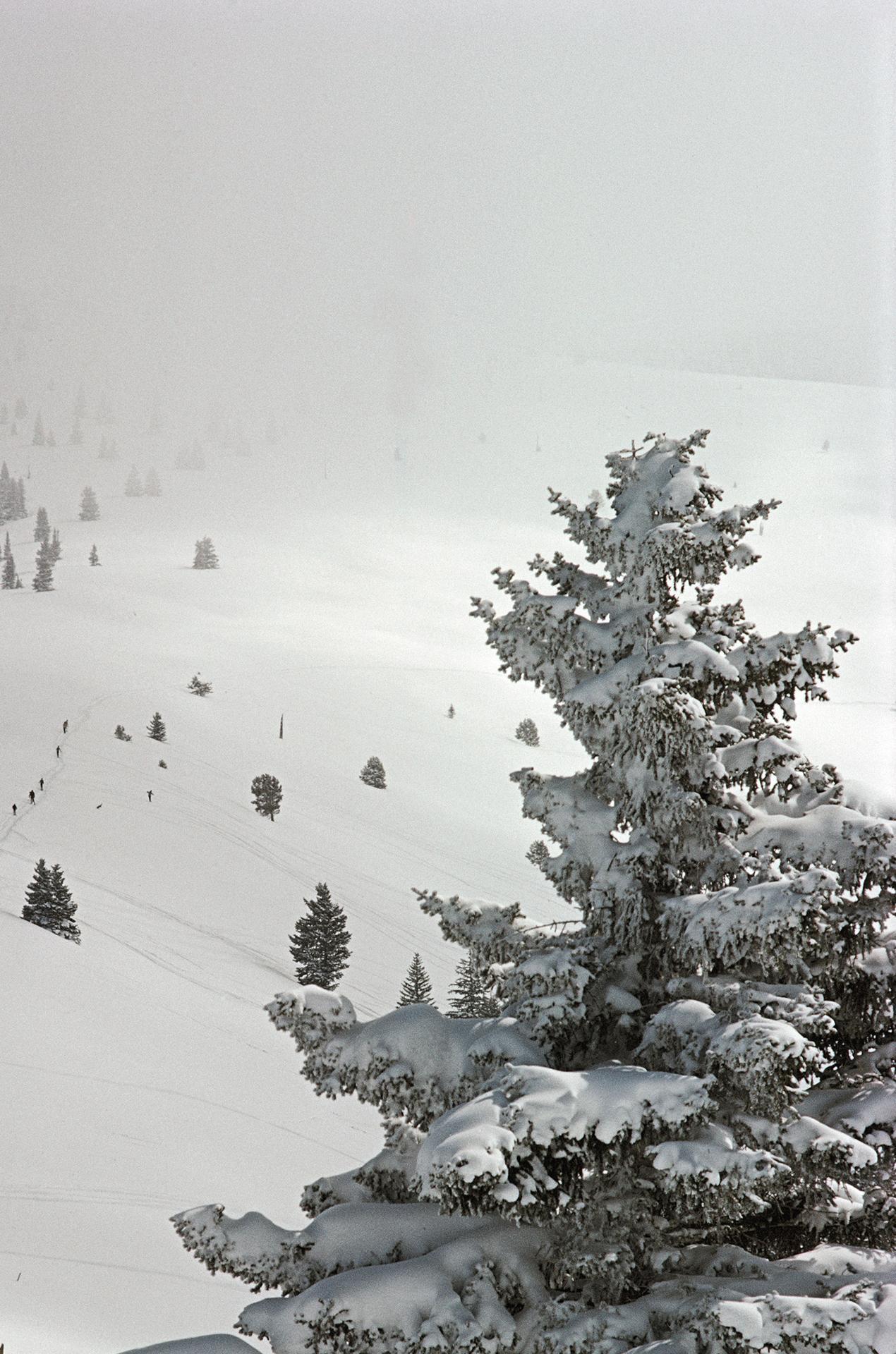Skifahren in Vail, Colorado, Nachlassausgabe, Winterlandschaftsfotografie im Angebot 1
