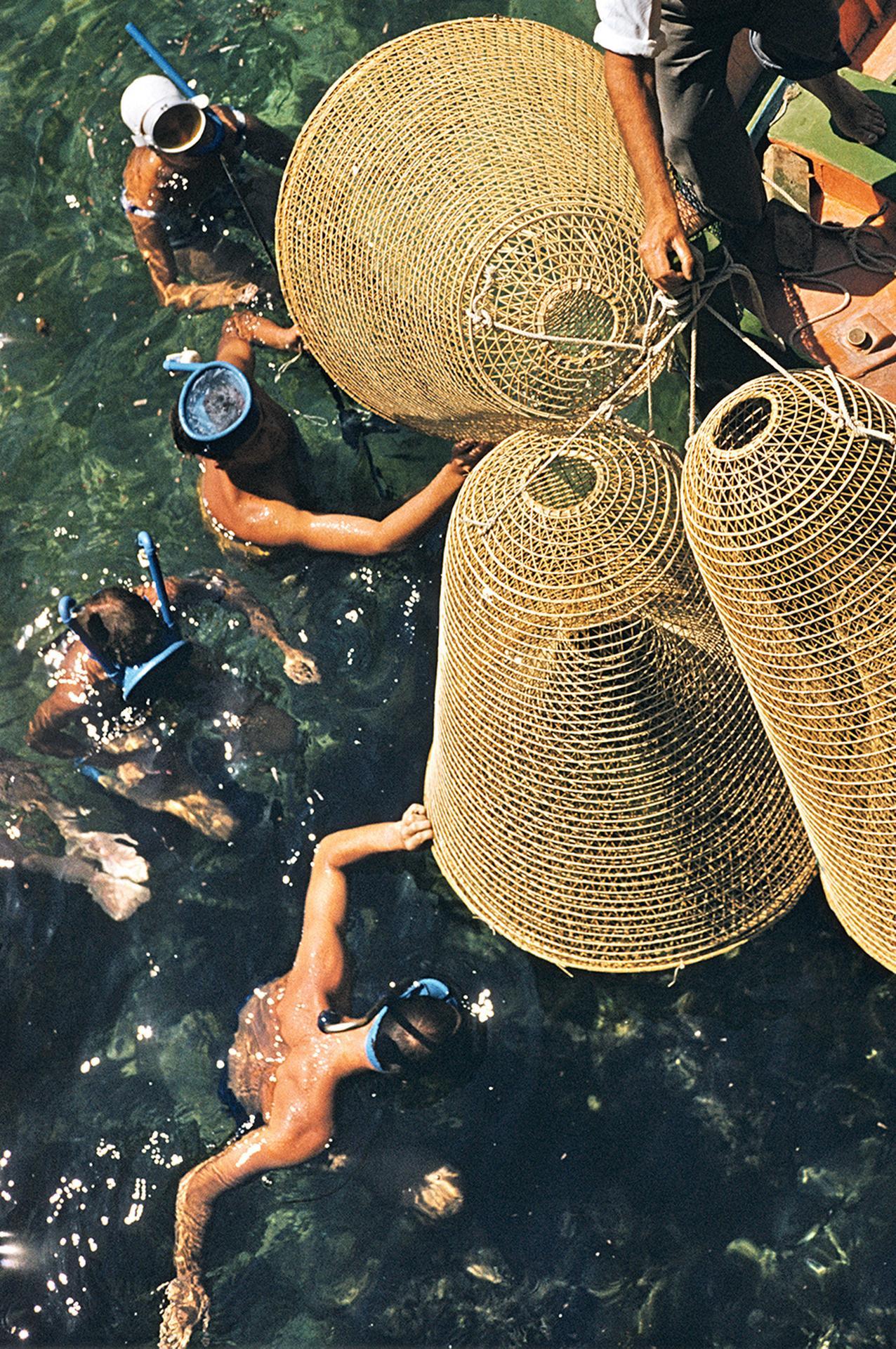 Snorkelling In The Shallows, Malte, édition de succession, photographie de paysage aérien en vente 2