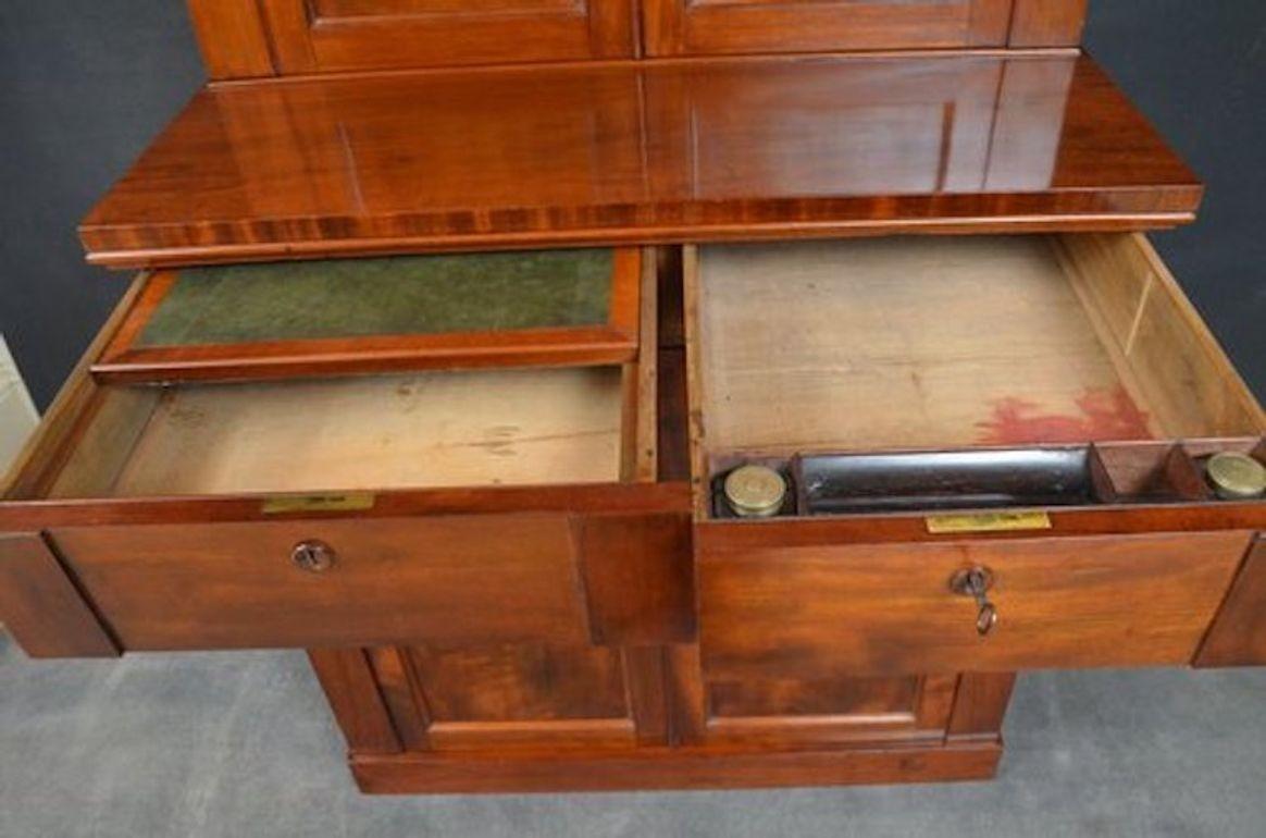 Mid-19th Century Slim and Elegant William IV Mahogany Bookcase