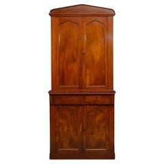 Antique Slim and Elegant William IV Mahogany Bookcase