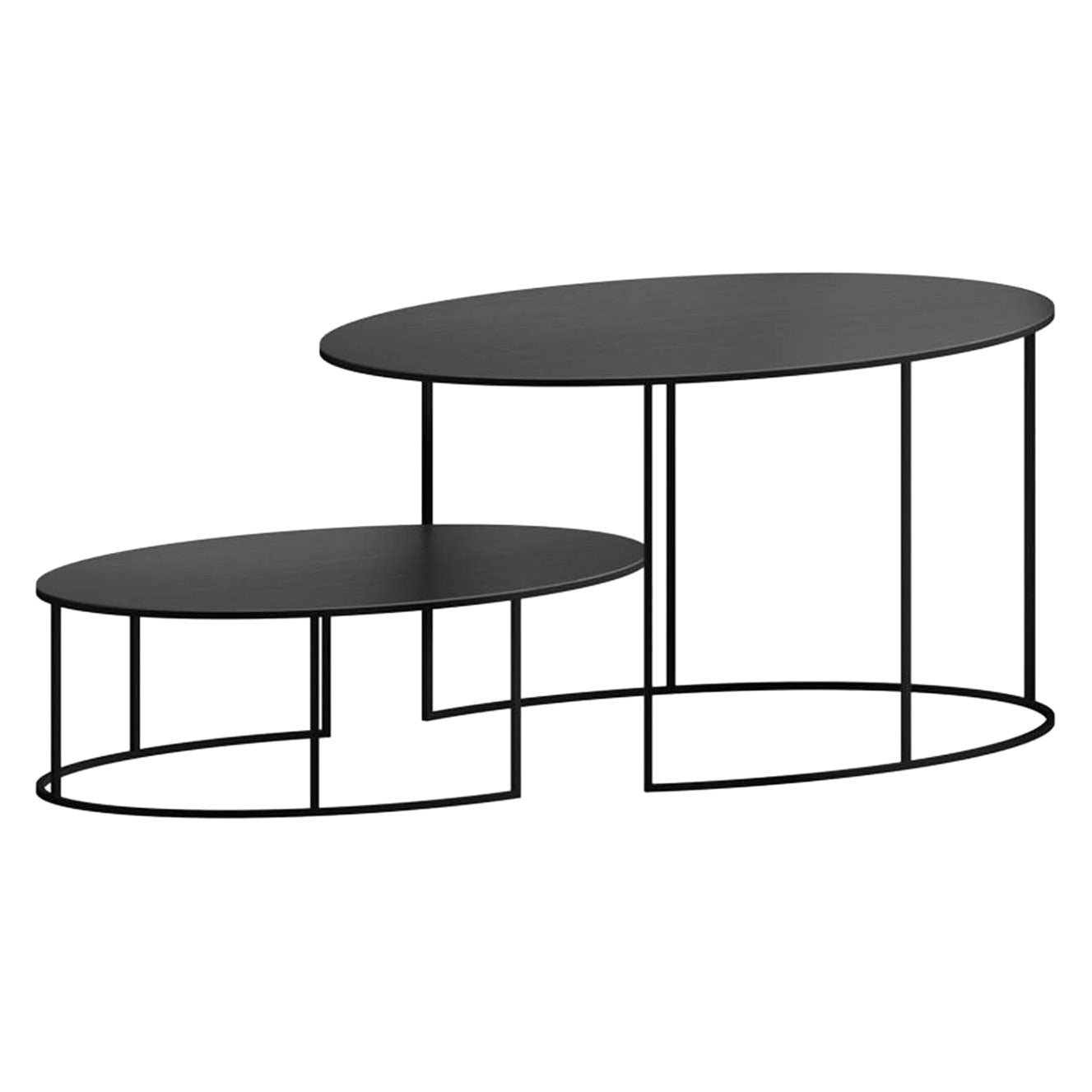 Slim Irony Set of 2 Oval Tables by Maurizio Peregalli For Sale