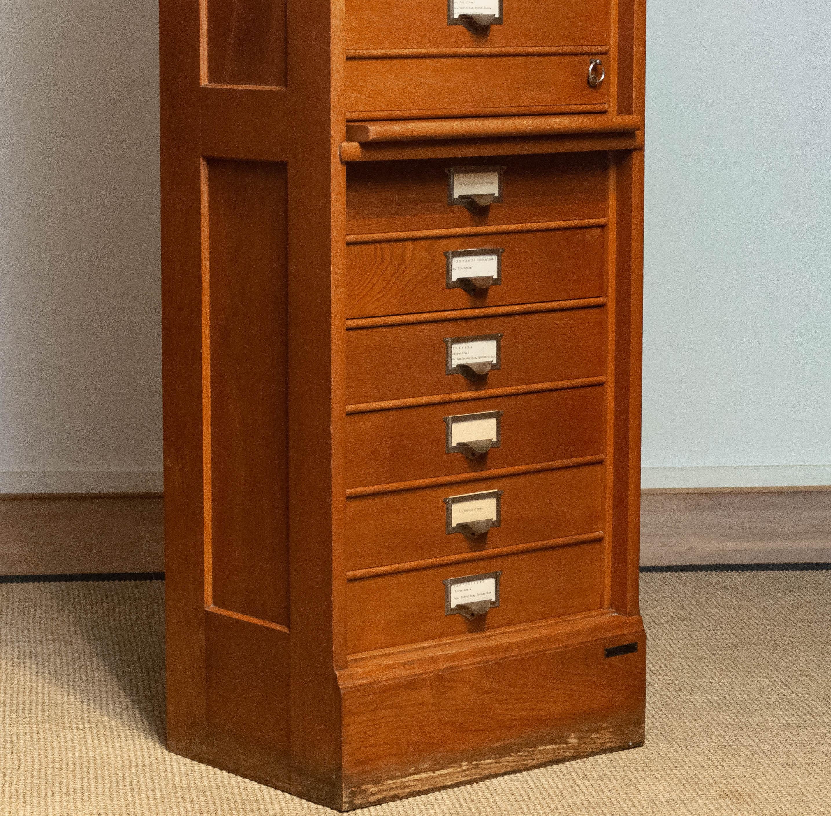 Mid-20th Century Slim Oak Rectangular Drawer / Archive / Entomology Cabinet by Atvidabergs Sweden For Sale