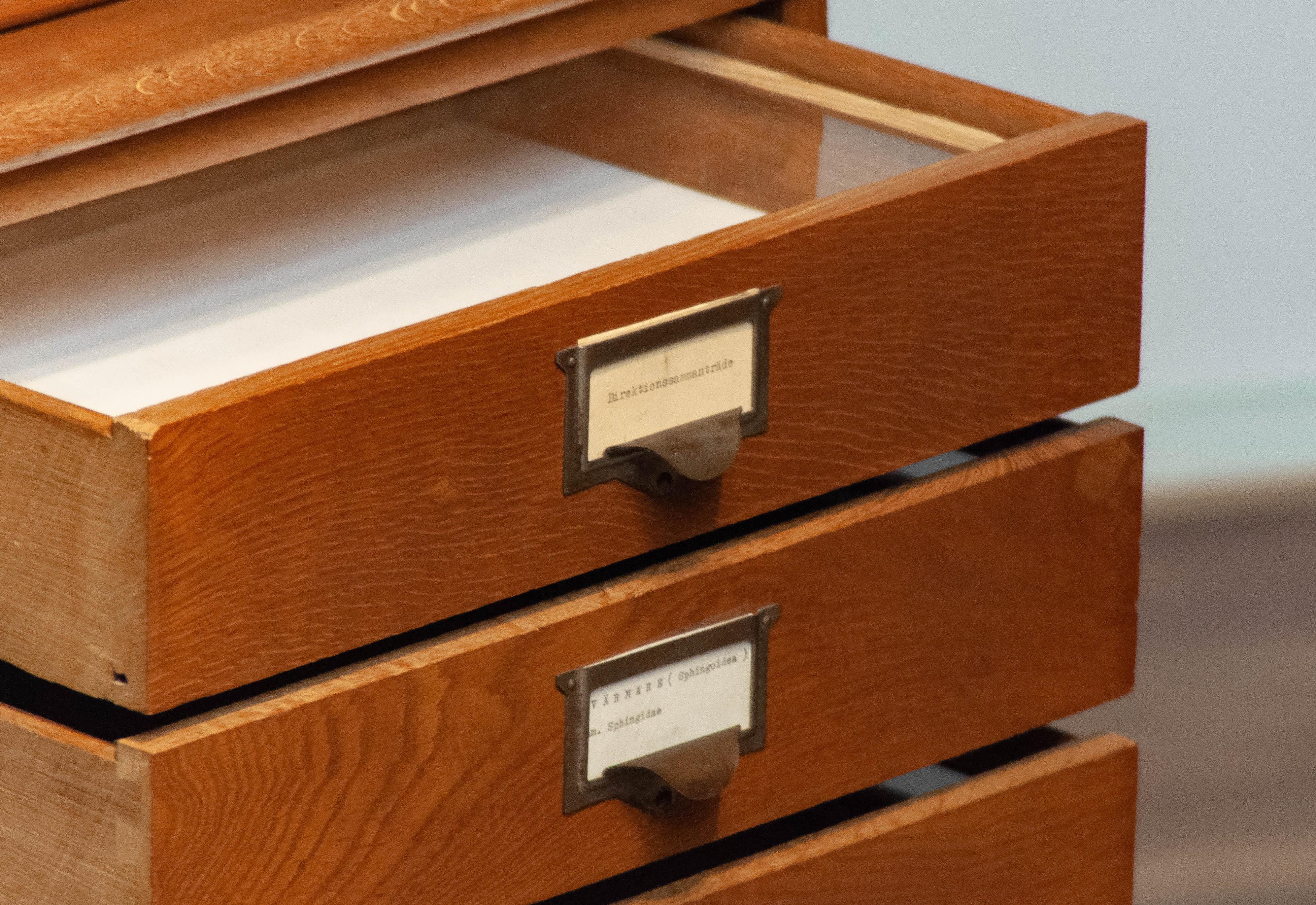 Metal Slim Oak Rectangular Drawer / Archive / Entomology Cabinet by Atvidabergs Sweden For Sale