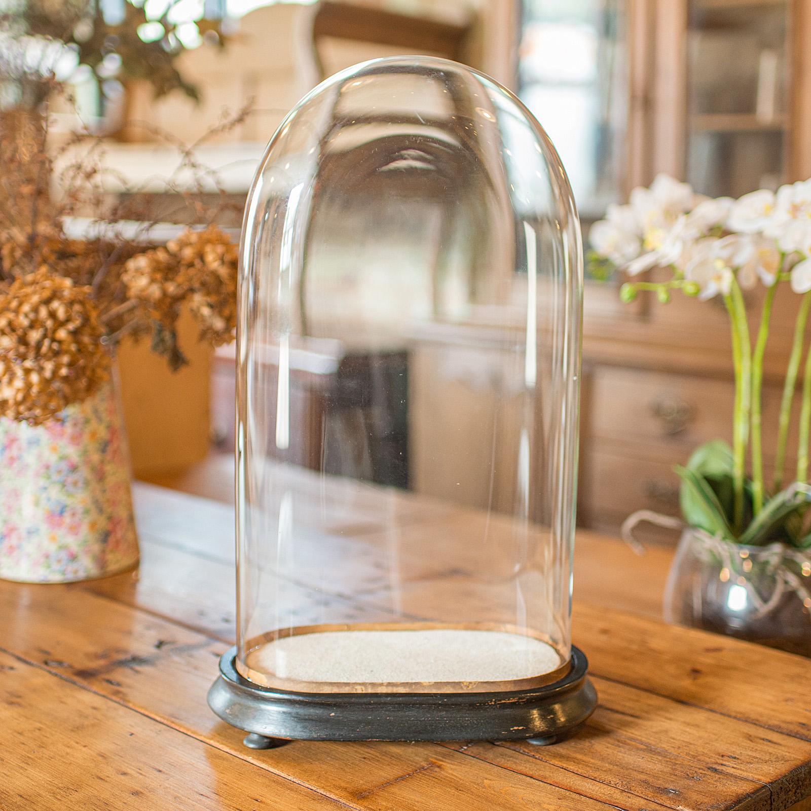 Late Victorian Slimline Antique Display Dome, English, Glass, Ornamental Showcase, Victorian For Sale