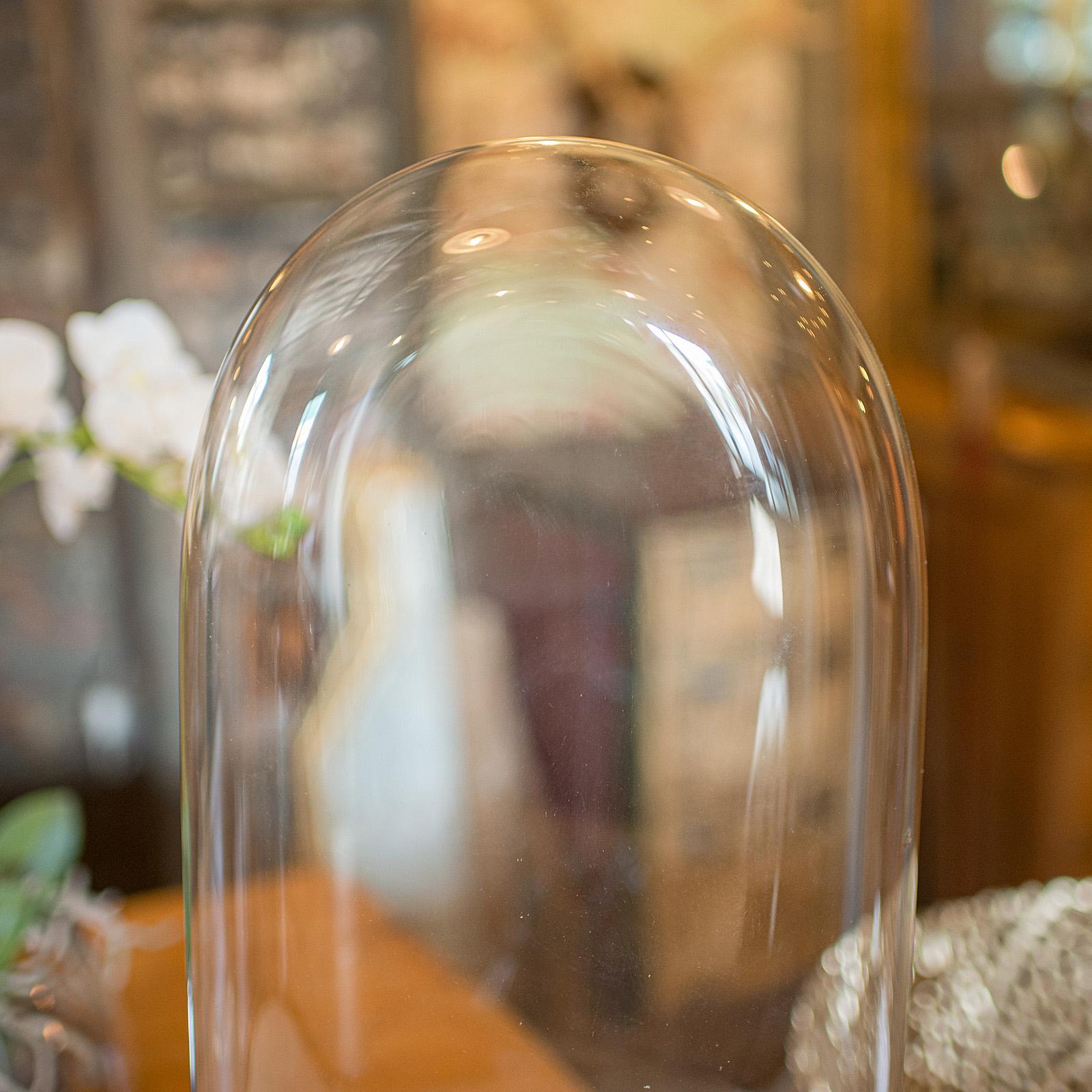 Slimline Antique Display Dome, English, Glass, Ornamental Showcase, Victorian In Good Condition For Sale In Hele, Devon, GB