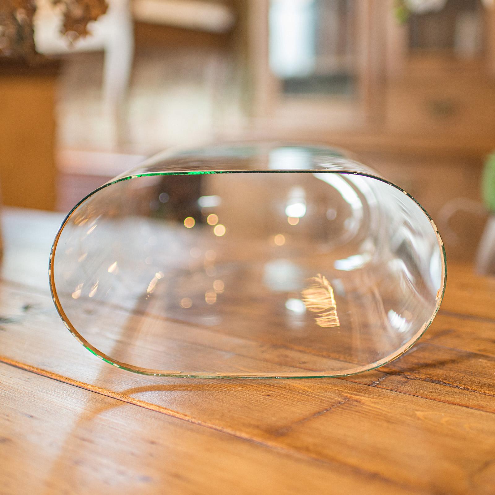 Slimline Antique Display Dome, English, Glass, Ornamental Showcase, Victorian For Sale 1
