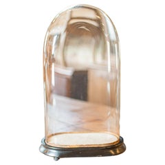 Cupola sottile per esposizione antica, inglese, vetro, vetrina ornamentale, vittoriana