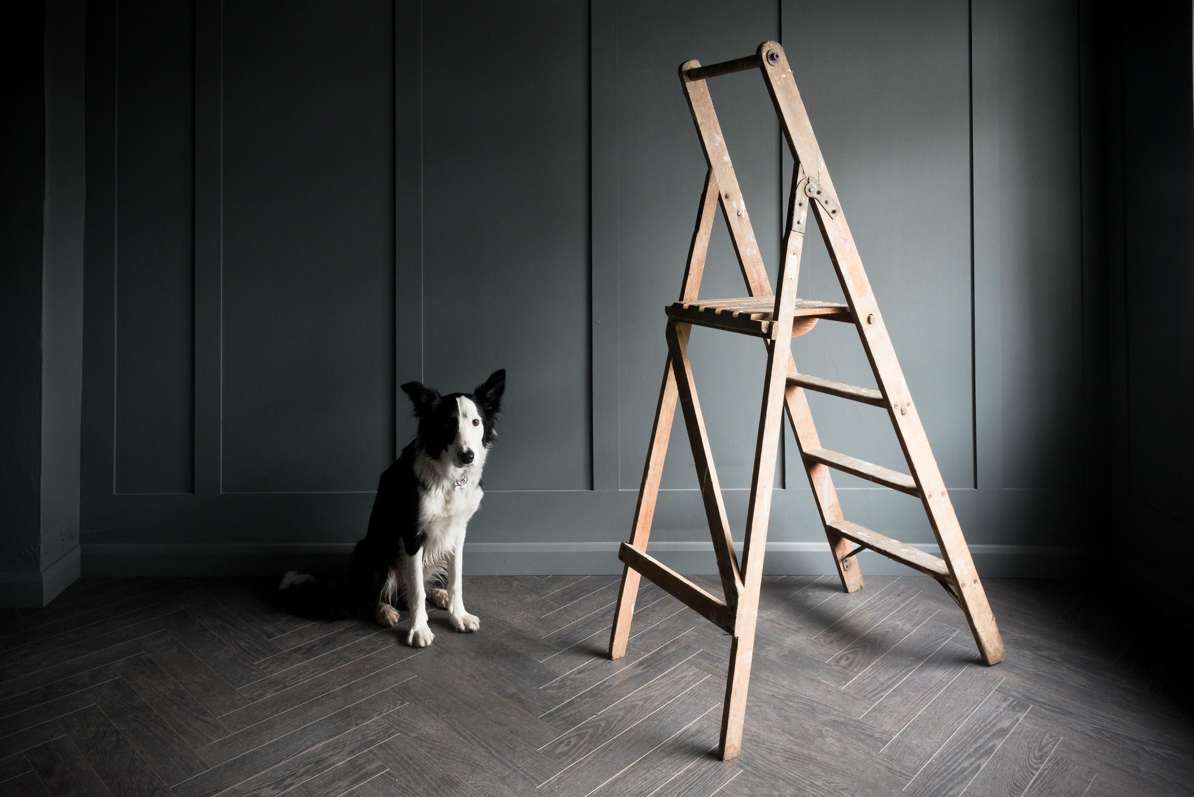 Slingsby Medium Step Ladder For Sale 2