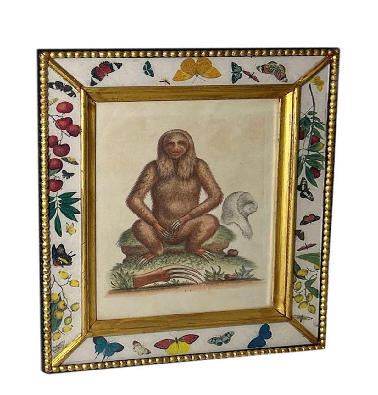 An antique engraving of a monkey called Sloth dated 1758 signed Edward Delin Anno. In a newer eglomise and guided wood frame with fruits, leaves and insects.
