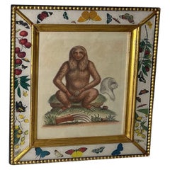 Sloth-Gravur, um 1758