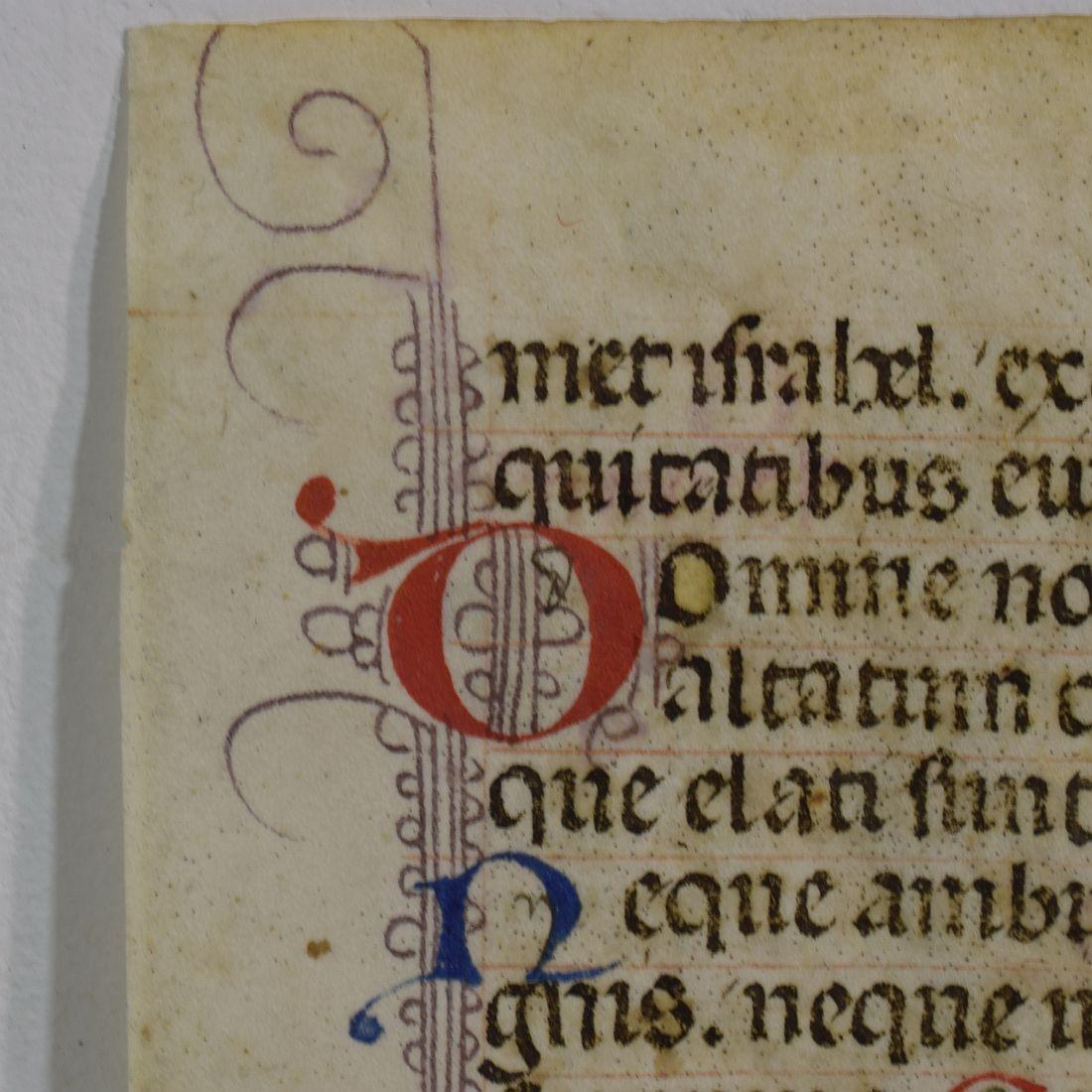 Gothic Small 15th Century Illuminated Vellum Book Page, Handwriting