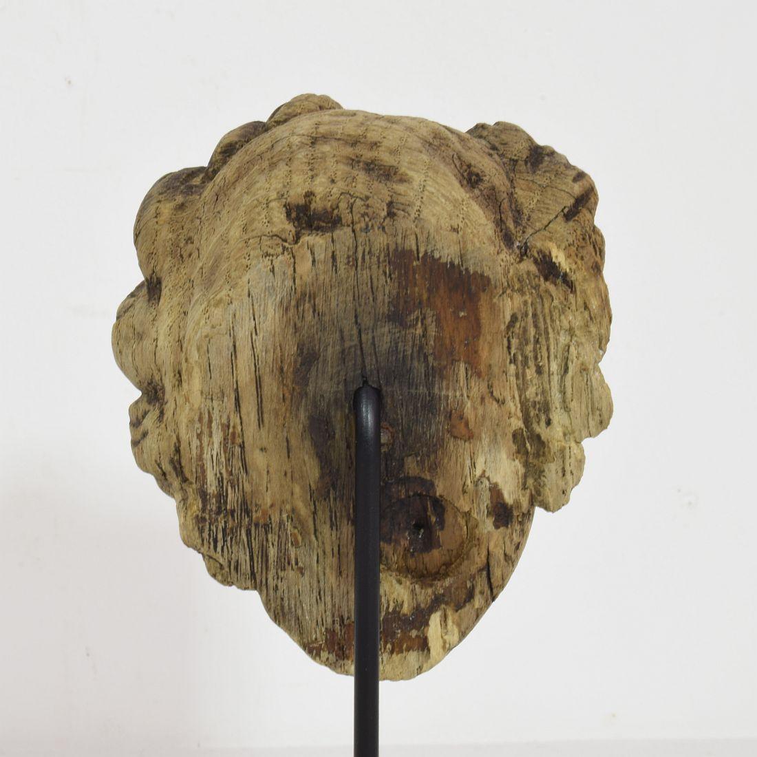 Small 17/ 18th Century French Carved Oak Head 4