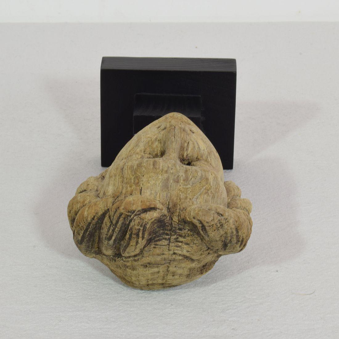 Small 17/ 18th Century French Carved Oak Head 6