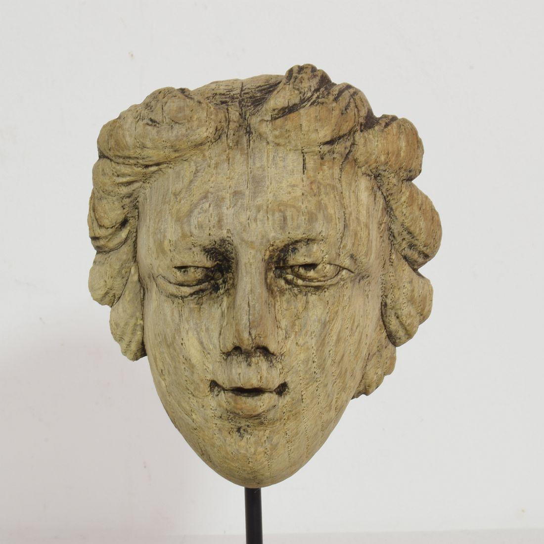 Small 17/ 18th Century French Carved Oak Head 1