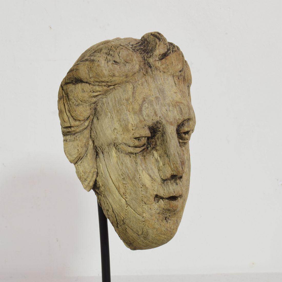 Small 17/ 18th Century French Carved Oak Head 3