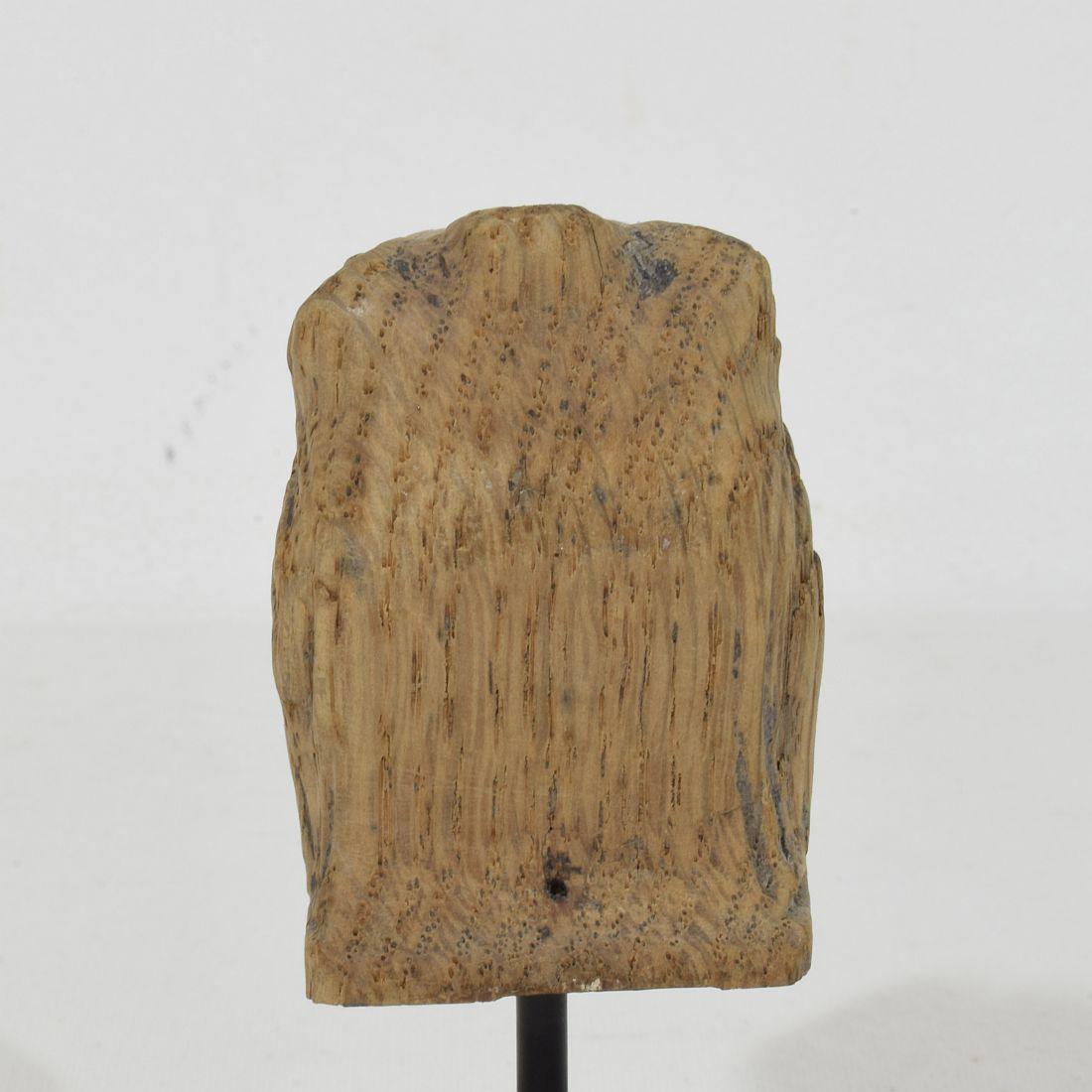 Kleines Fragment eines geschnitzten Eichenlöwen aus dem 17. bis 18. im Angebot 4