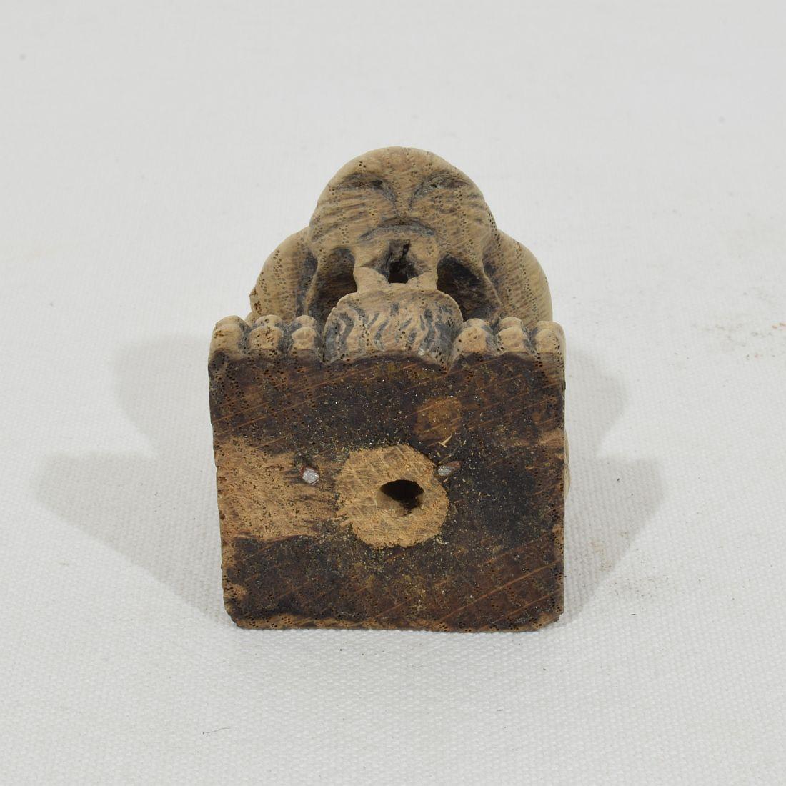 Kleines Fragment eines geschnitzten Eichenlöwen aus dem 17. bis 18. im Angebot 6