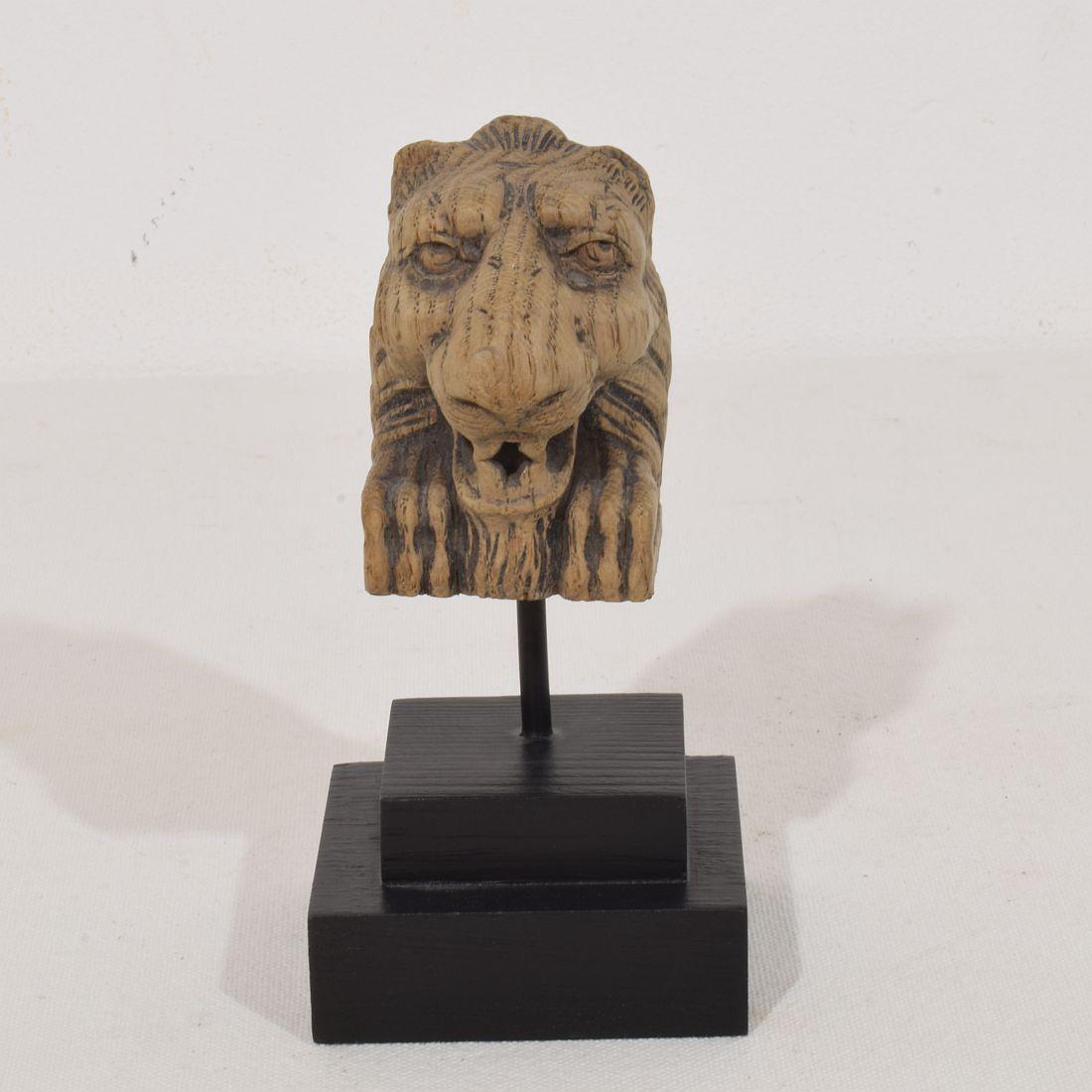 Wunderschönes und einzigartiges kleines handgeschnitztes Eichenlöwenfragment. Schön verwittert.
Frankreich um 1650-1750
Verwittert. Die Maße umfassen den Holzsockel.
H:11cm  B:6cm T:5,5cm 